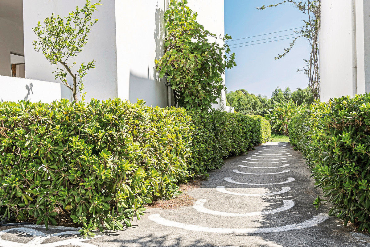 001 - Absolute Kiotari.jpg