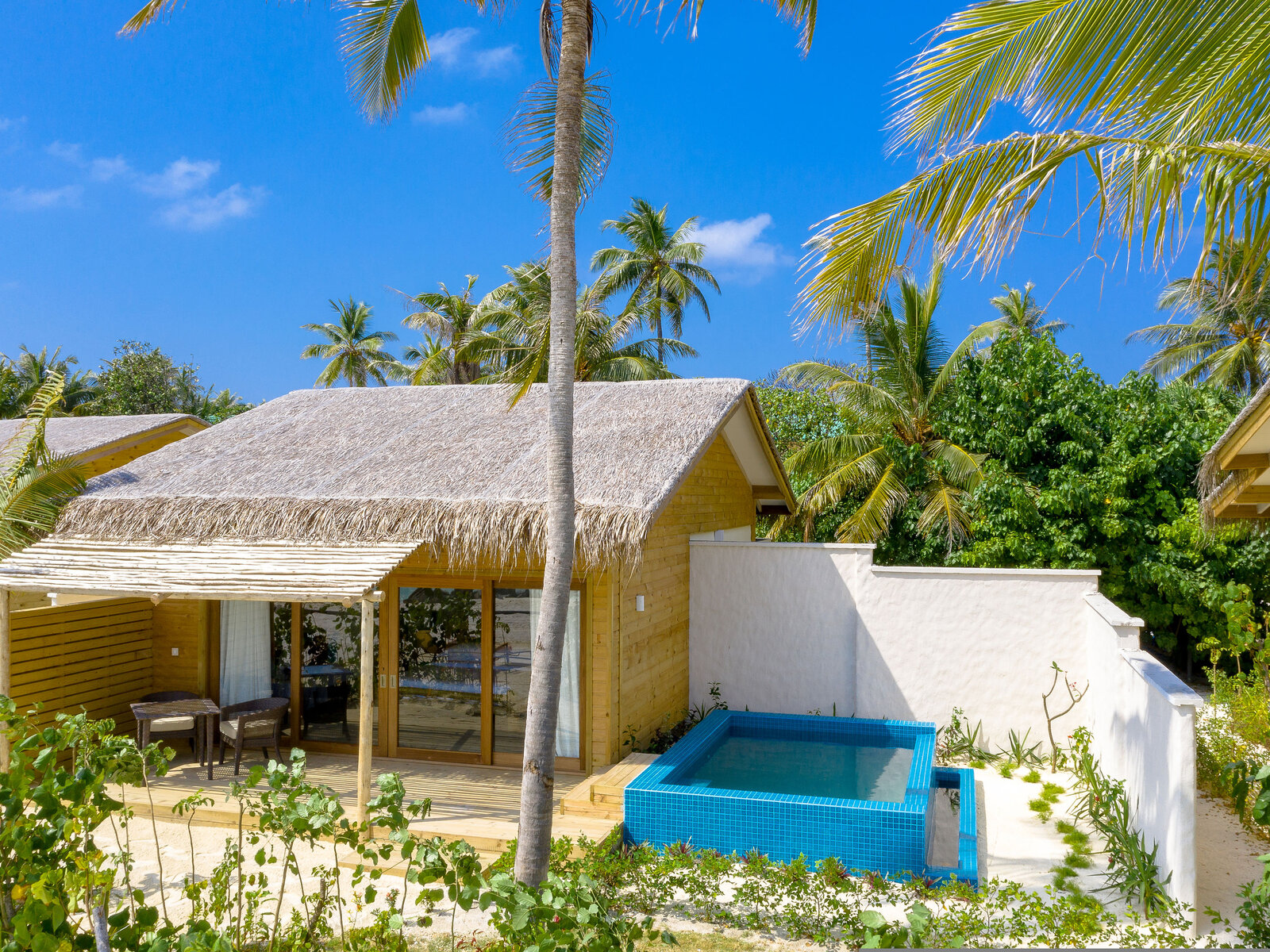 025 - You & Me by Cocoon.jpg