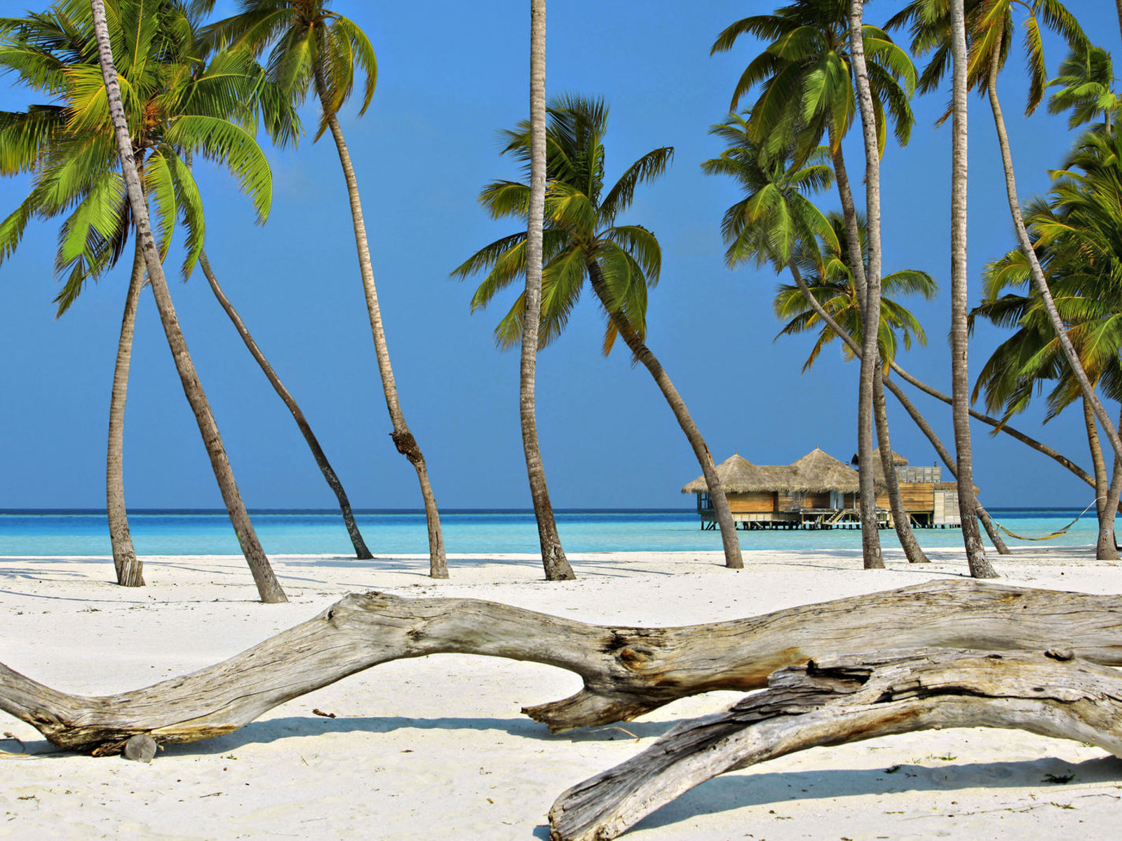 003 - Gili Lankanfushi Maldives.jpg