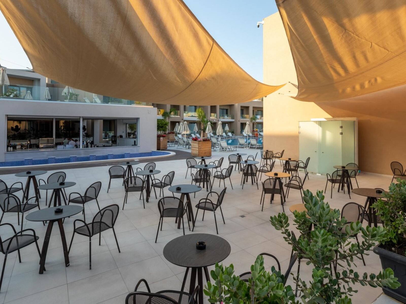 046 - White Olive Elite Laganas.jpg