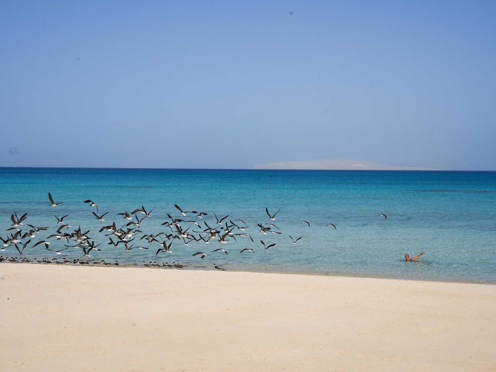 008 - Tawila Island Resort.jpg