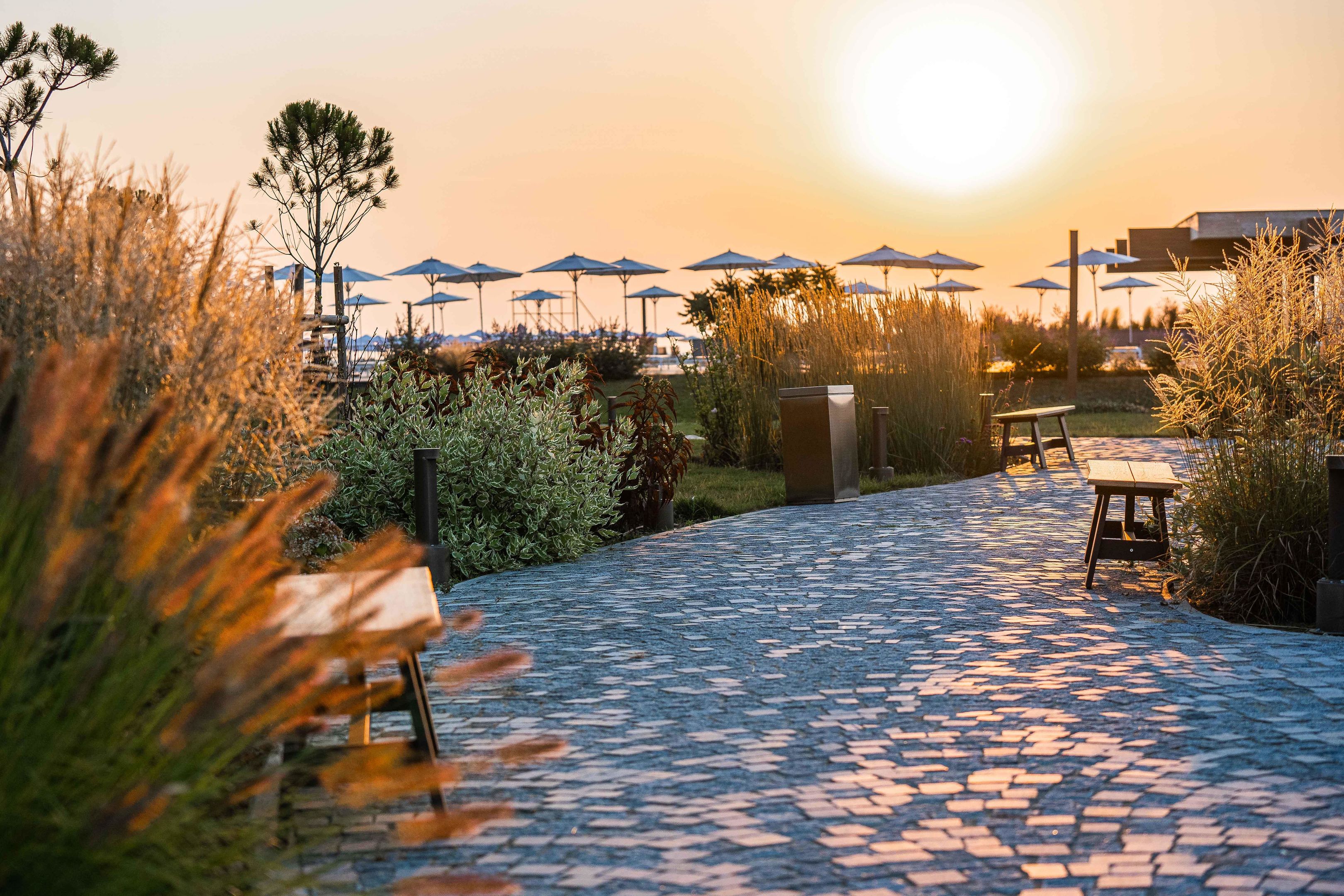 051 - HVD Reina del Mar.jpg