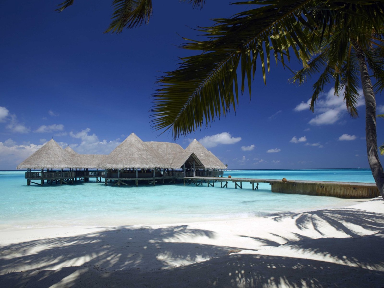 023 - Gili Lankanfushi Maldives.jpg