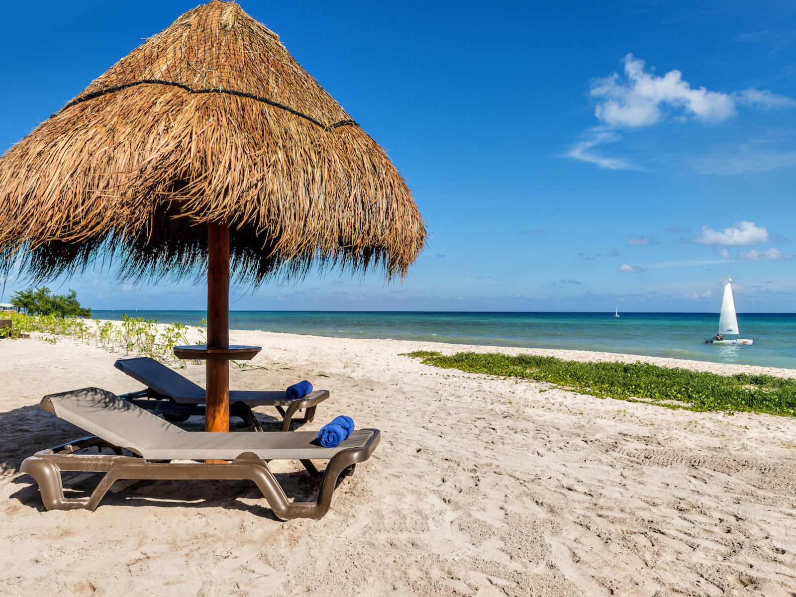 004 - Ocean Riviera Paradise.jpg