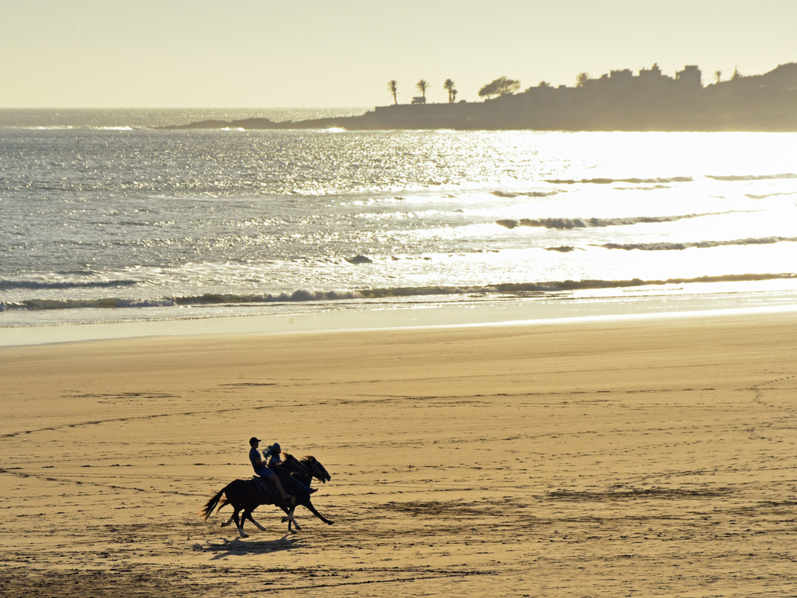 72057236 - Sol House Taghazout Bay - Surf.jpg