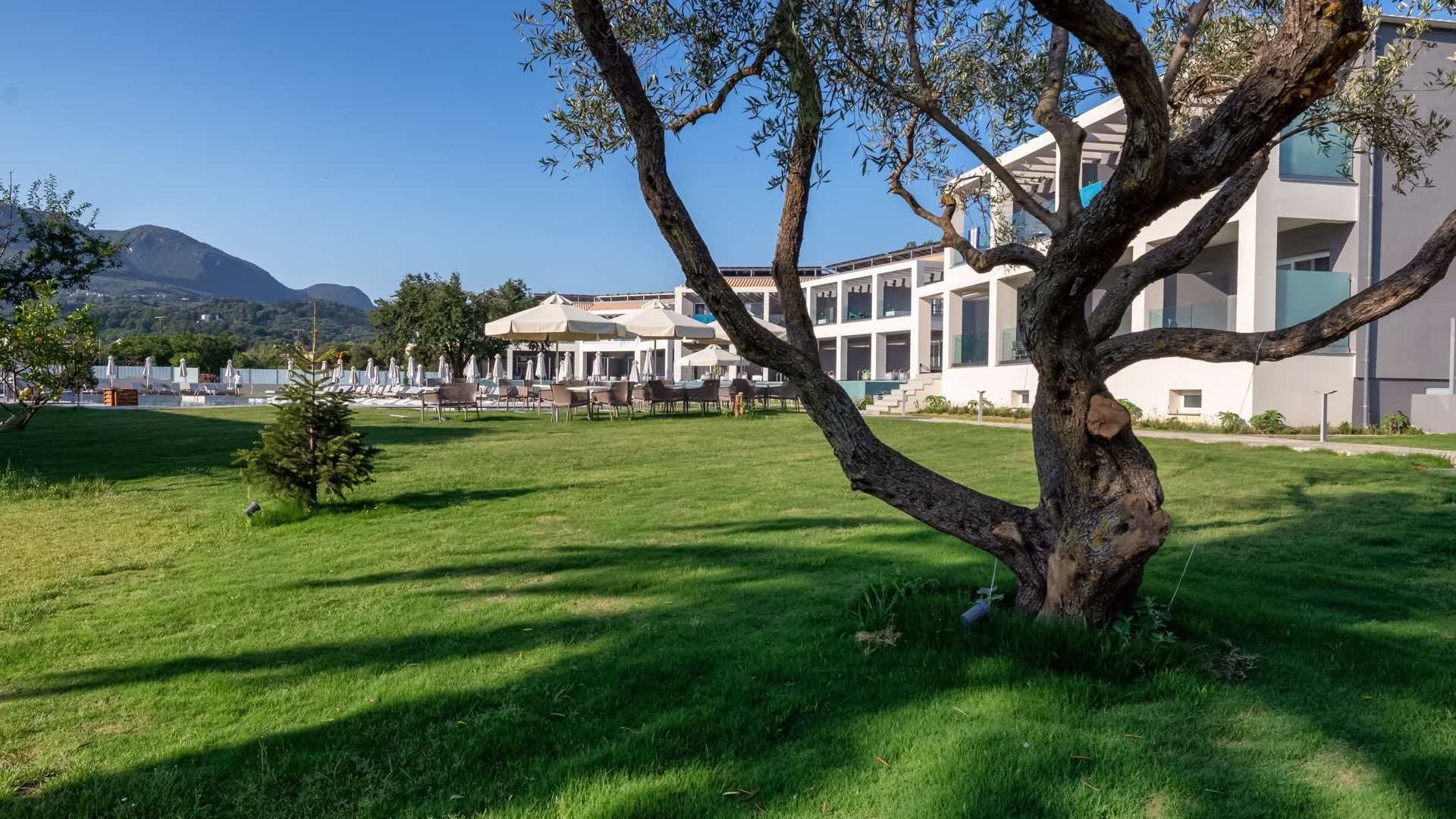 040 - Acharavi Vissalo by Acharavi Beach.jpg