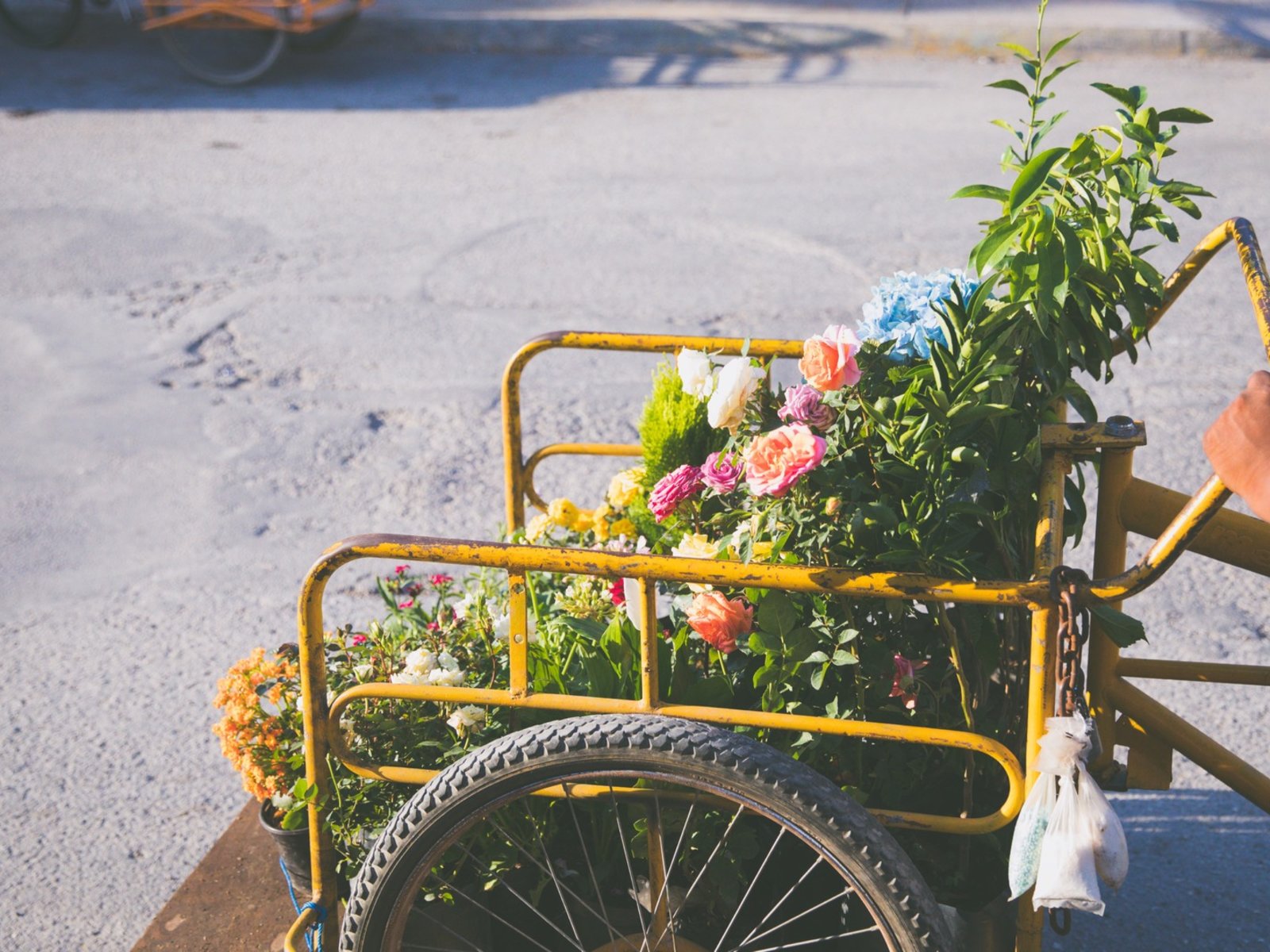 047 - Unico 20°87° Hotel Riviera Maya.jpg
