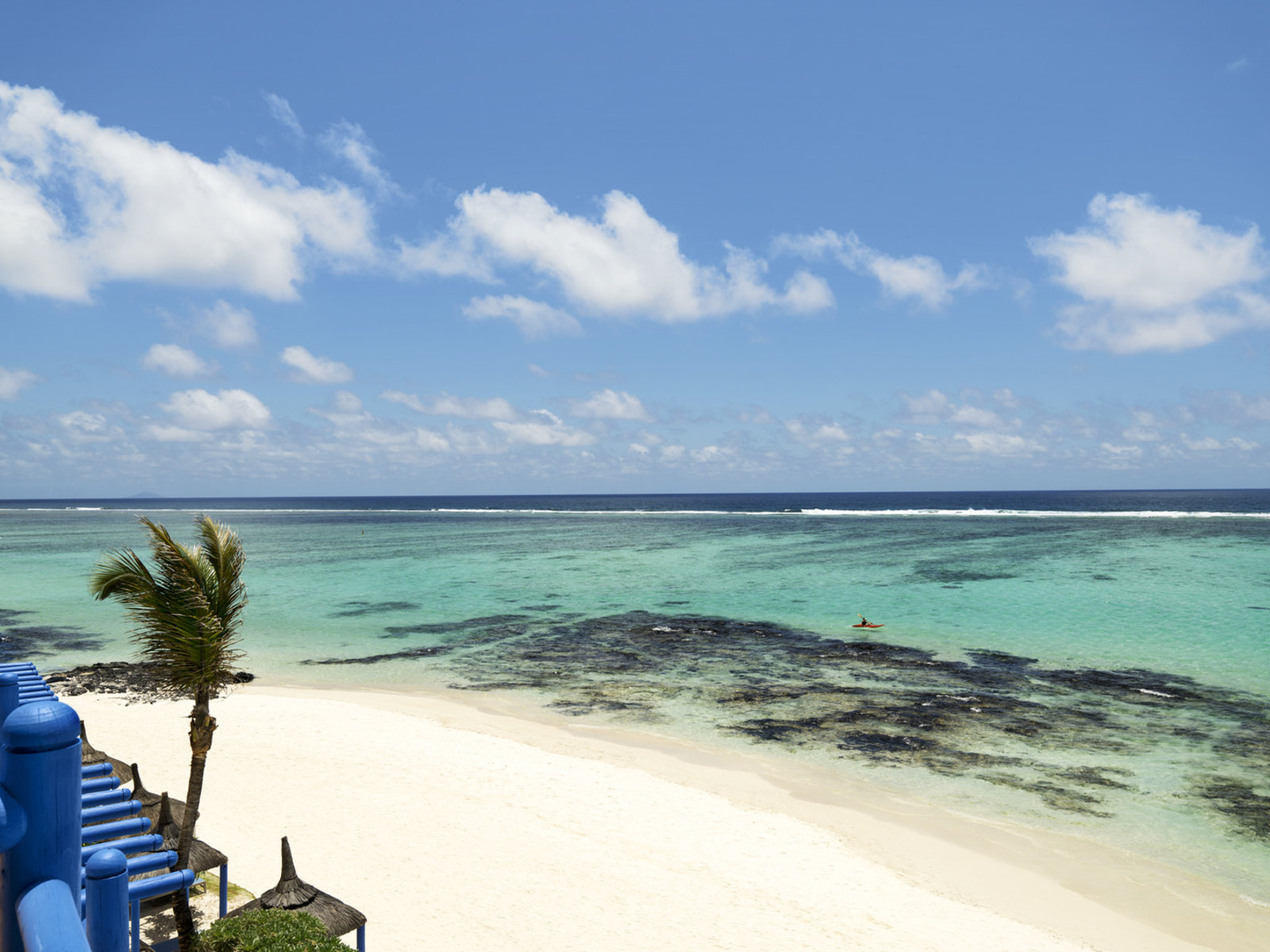 024 - SALT of Palmar.jpg