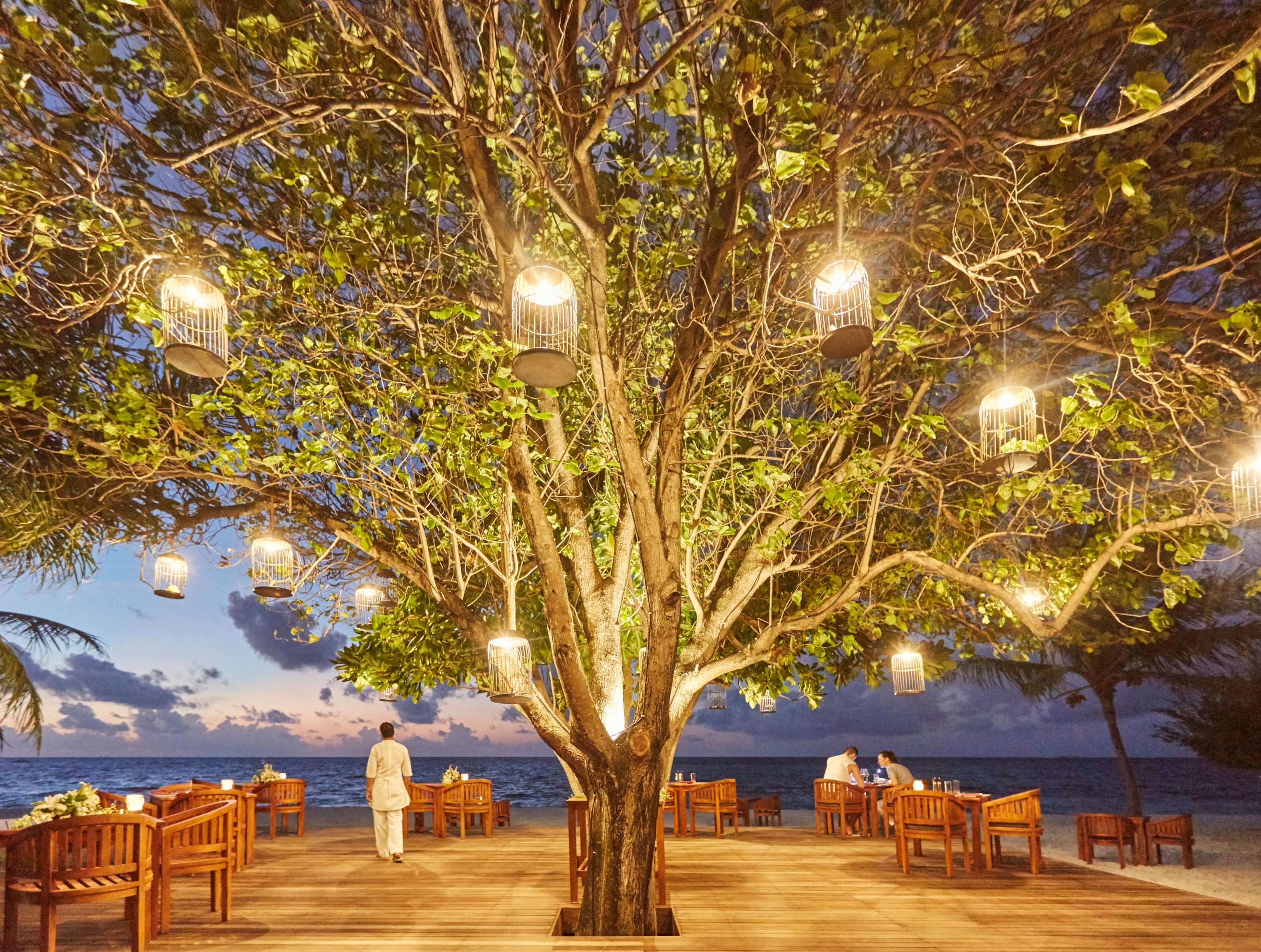 048 - LUX* South Ari Atoll.jpg