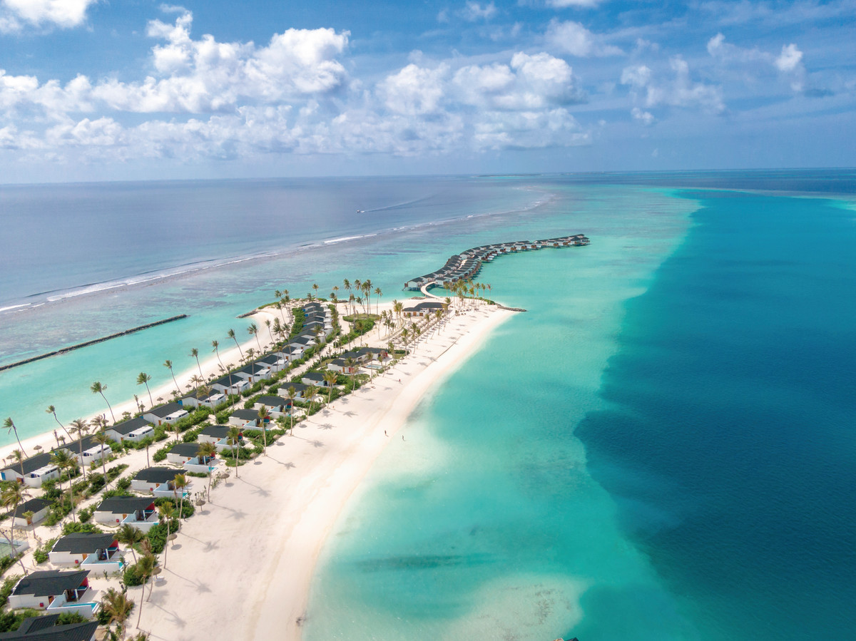 001 - Joy Island by Cocoon.jpg