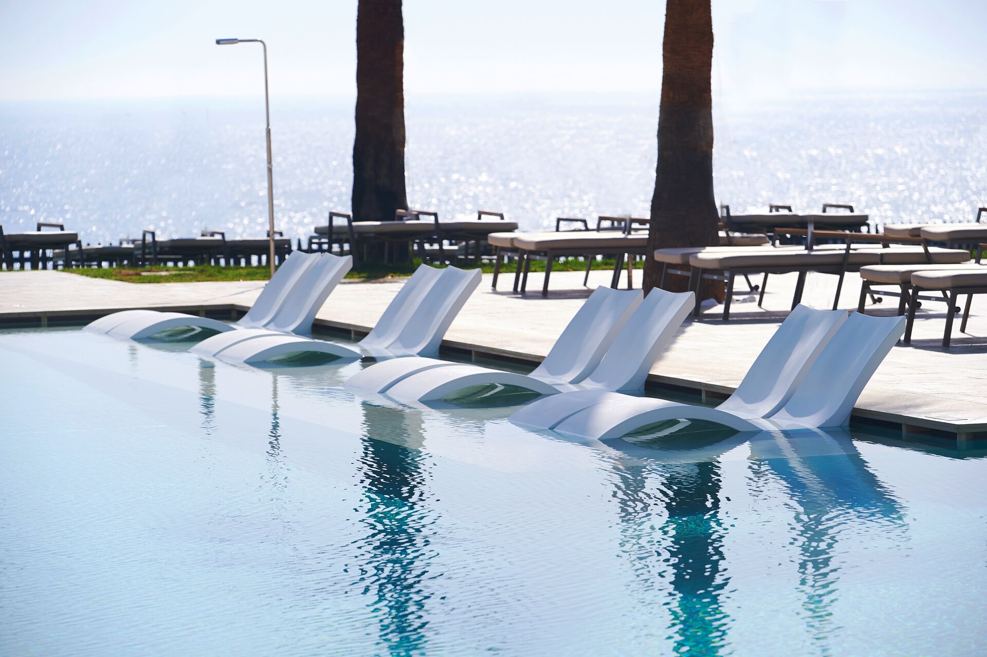 010 - Sunrise Jade.jpg