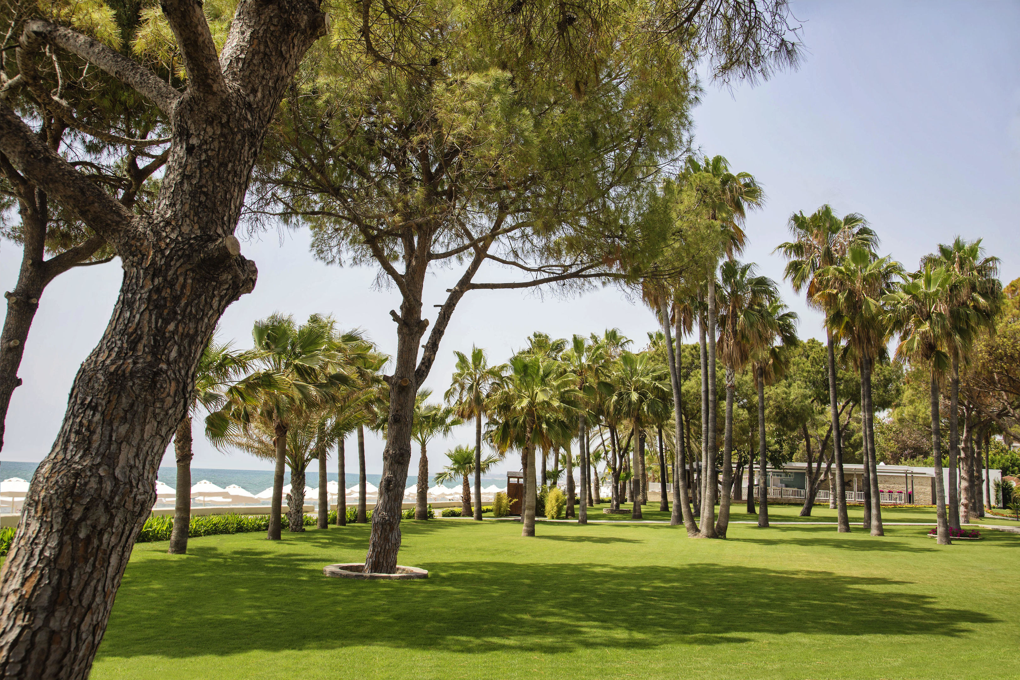 010 - Barut Acanthus & Cennet.jpg