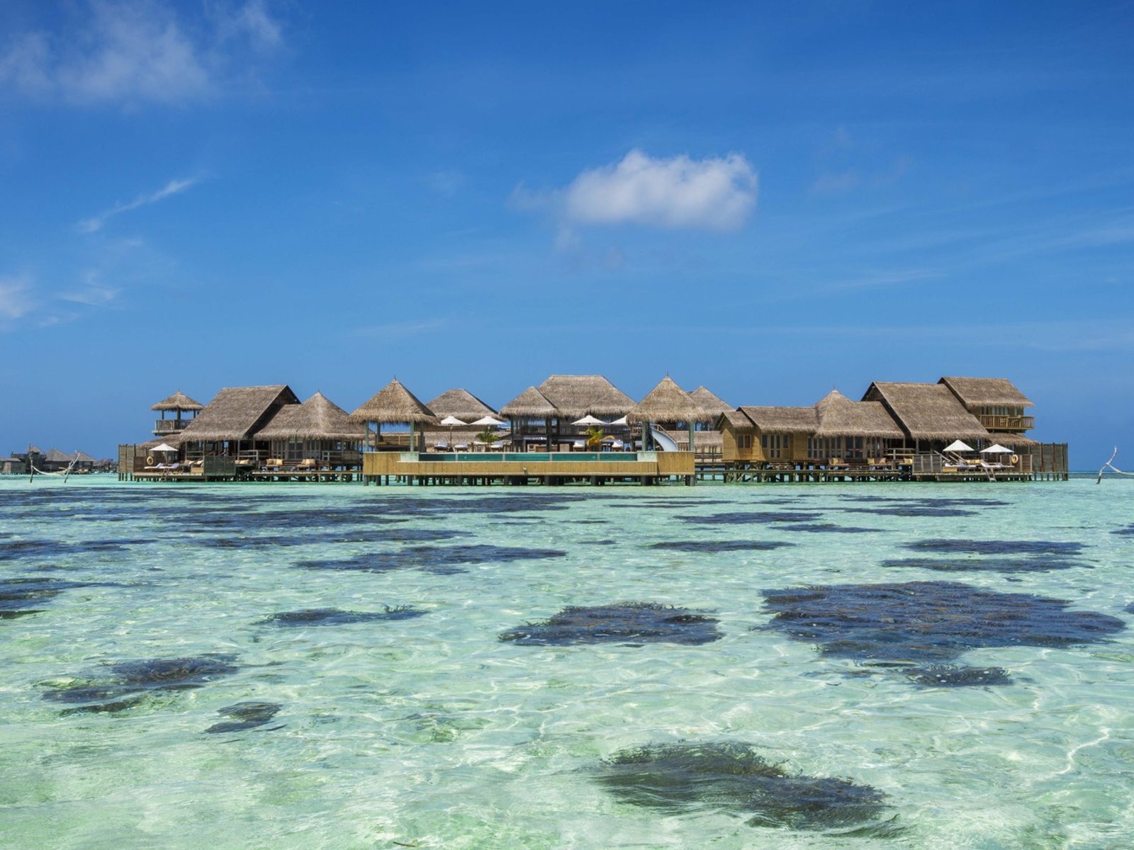 039 - Gili Lankanfushi Maldives.jpg