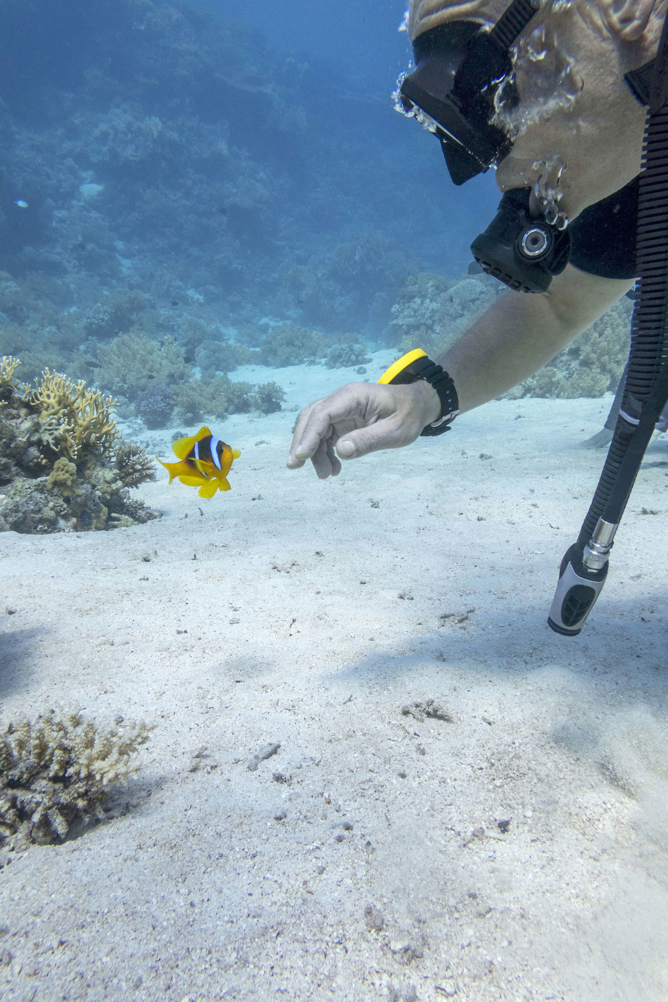 023 - Aldiana Club Naga Bay.jpg