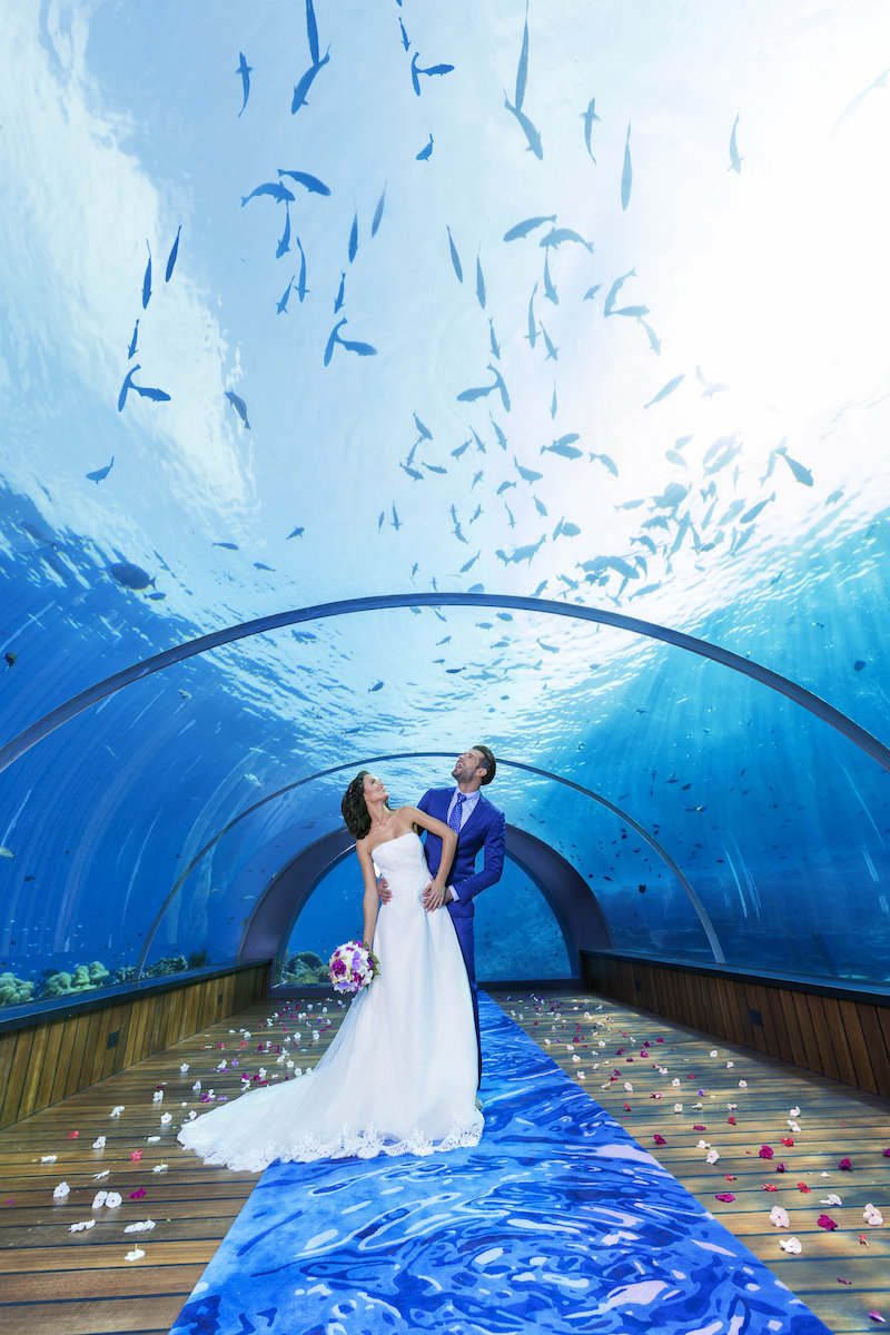 9150235 - Hurawalhi Island Resort Maldives.jpg