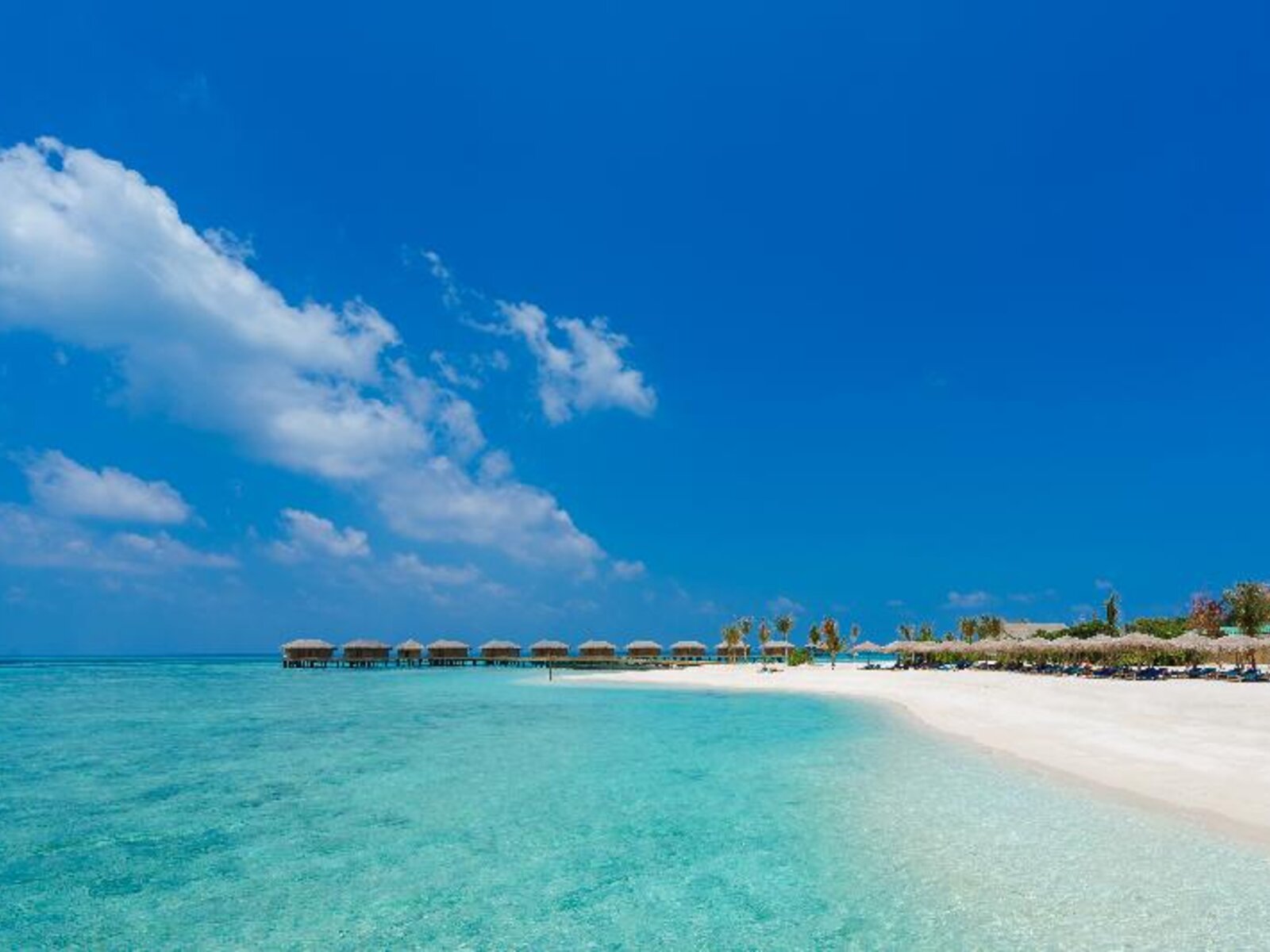 008 - You & Me by Cocoon.jpg