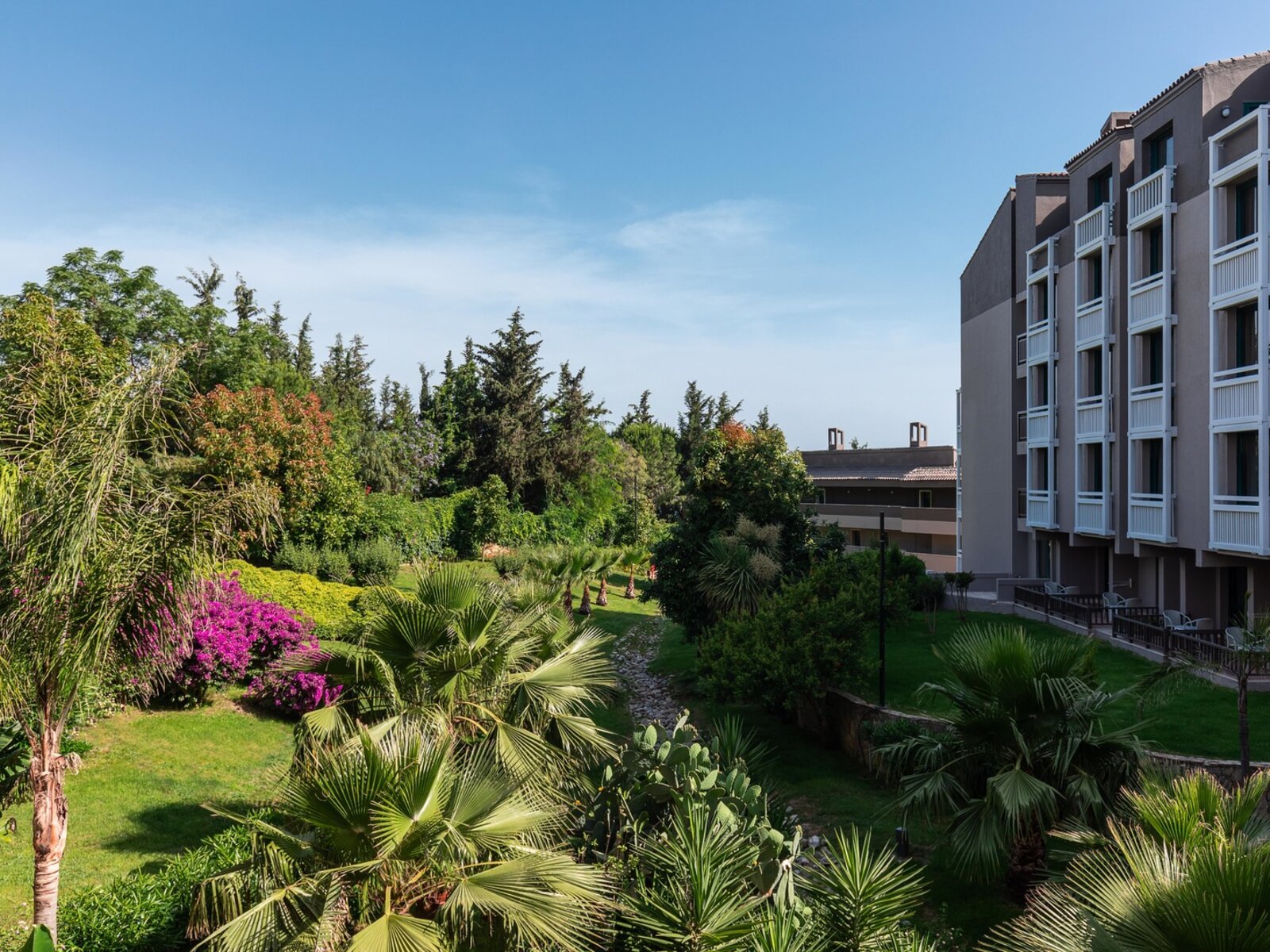 028 - SENTIDO Perissia .jpg