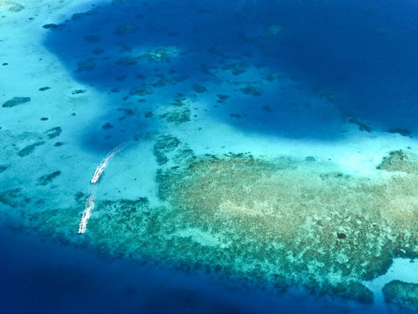 017 - You & Me by Cocoon.jpg