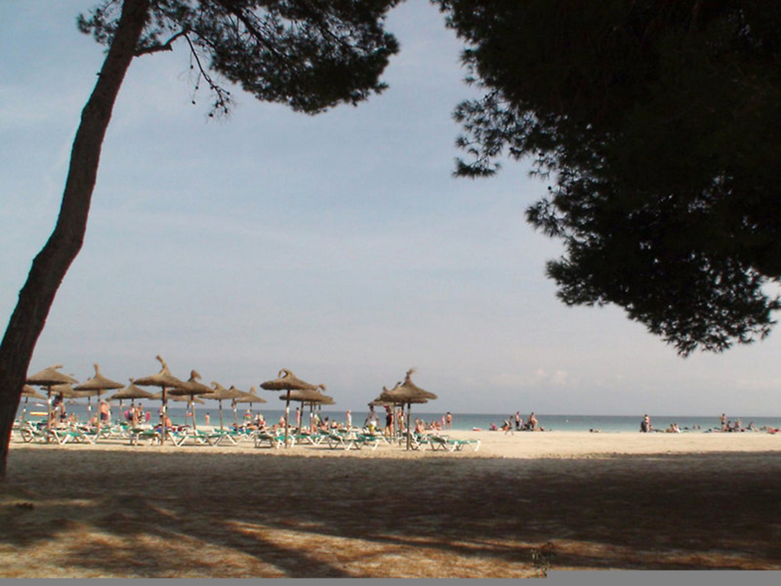 017 - Sofia Alcudia Beach.jpg