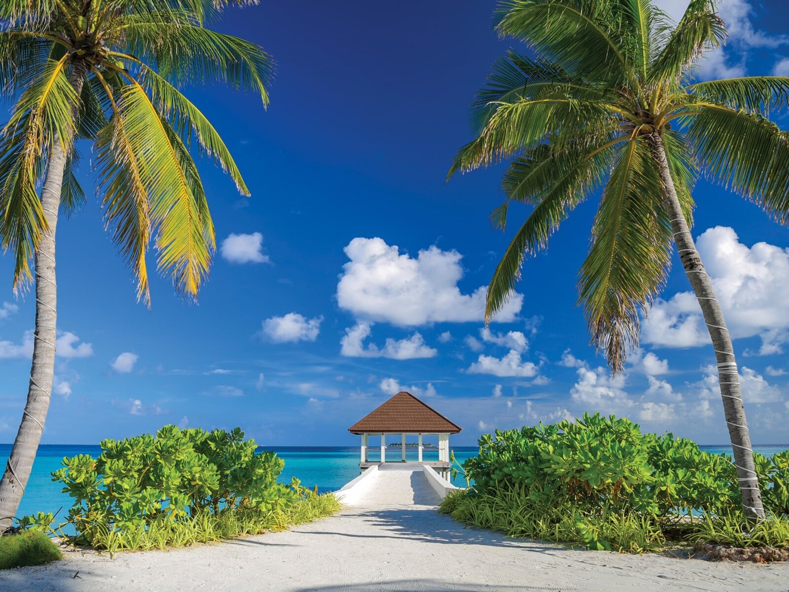 005 - VARU by Atmosphere.jpg