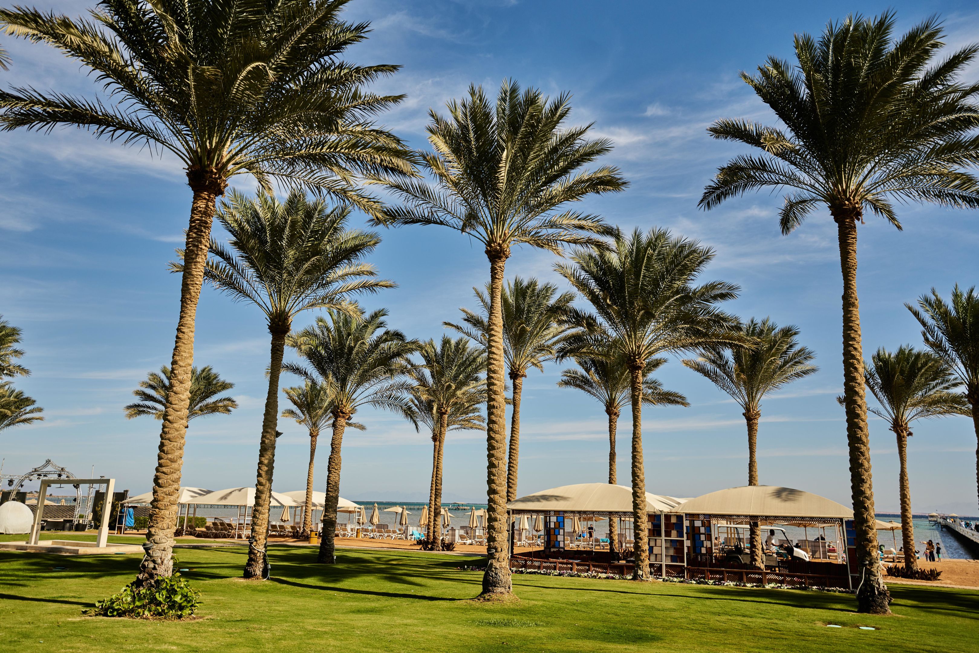 036 - Rixos Seagate Sharm.jpg