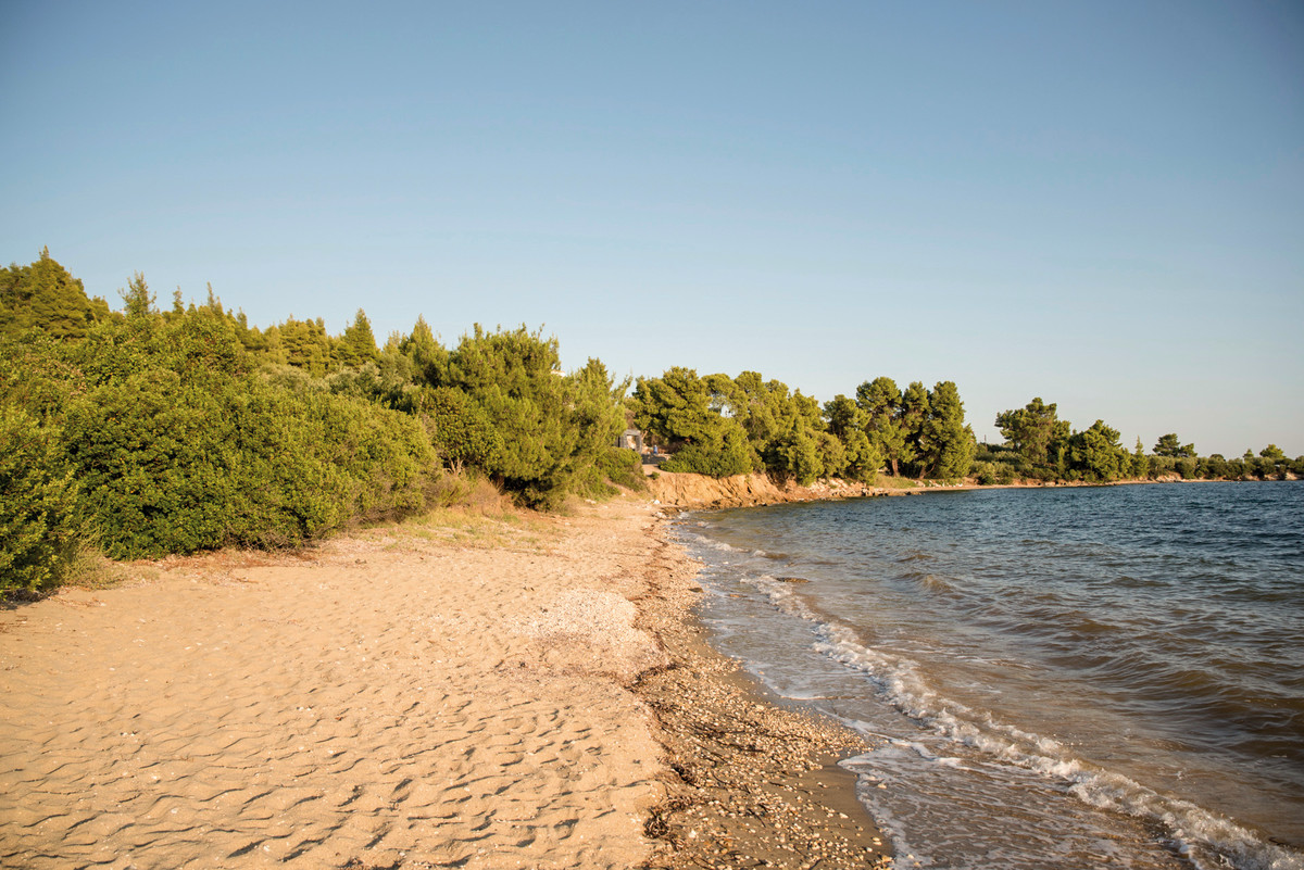 017 - Casa Bloo .jpg