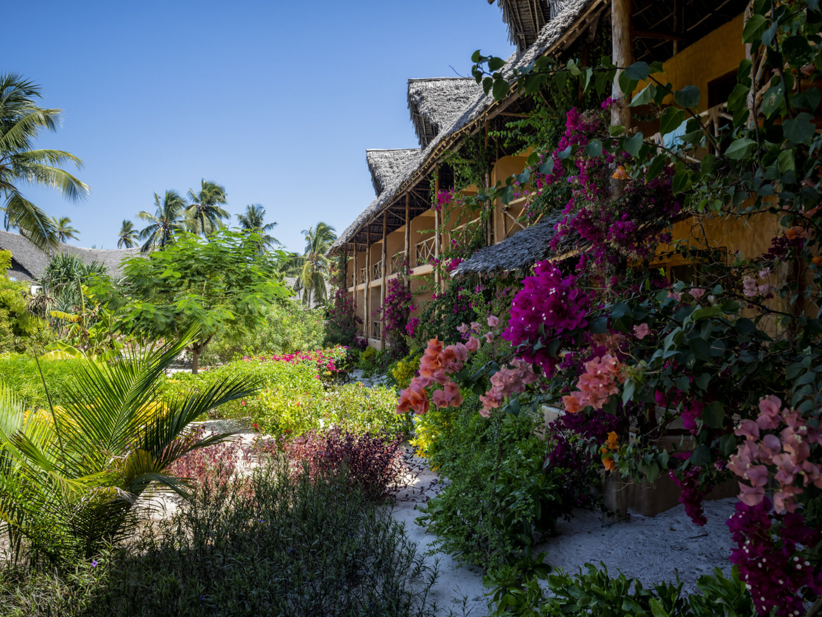 007 - Zanzibar Queen Hotel.jpg