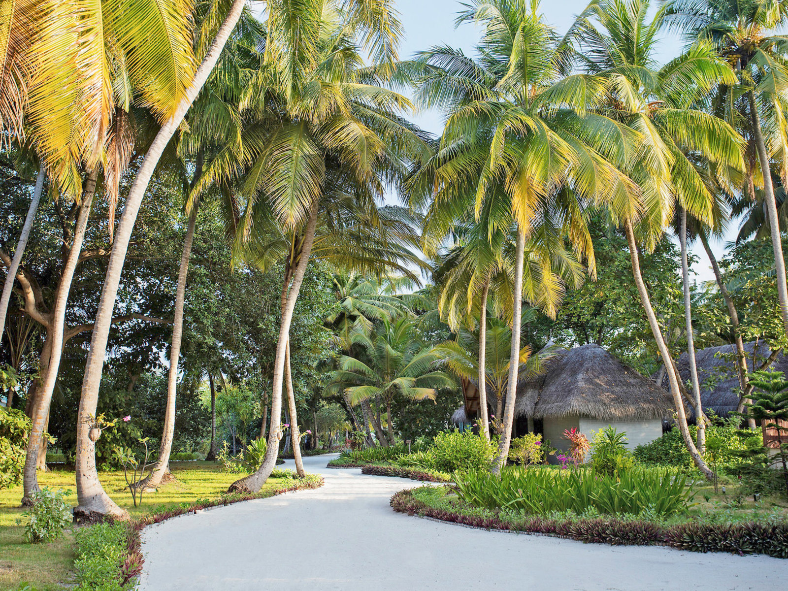 002 - Furaveri Island Resort & Spa.jpg