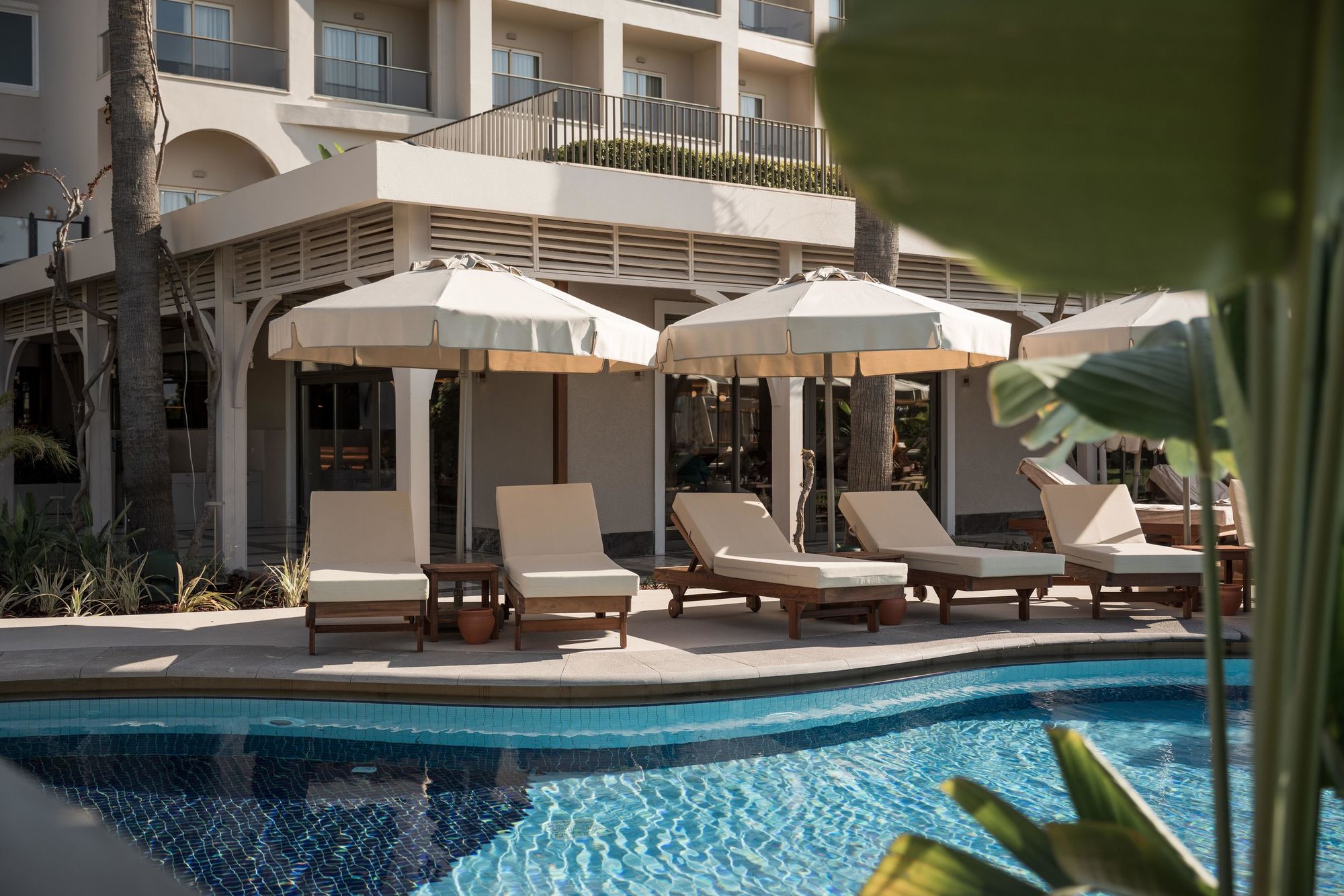 001 - Adalya Bliss - Adults Only.jpg