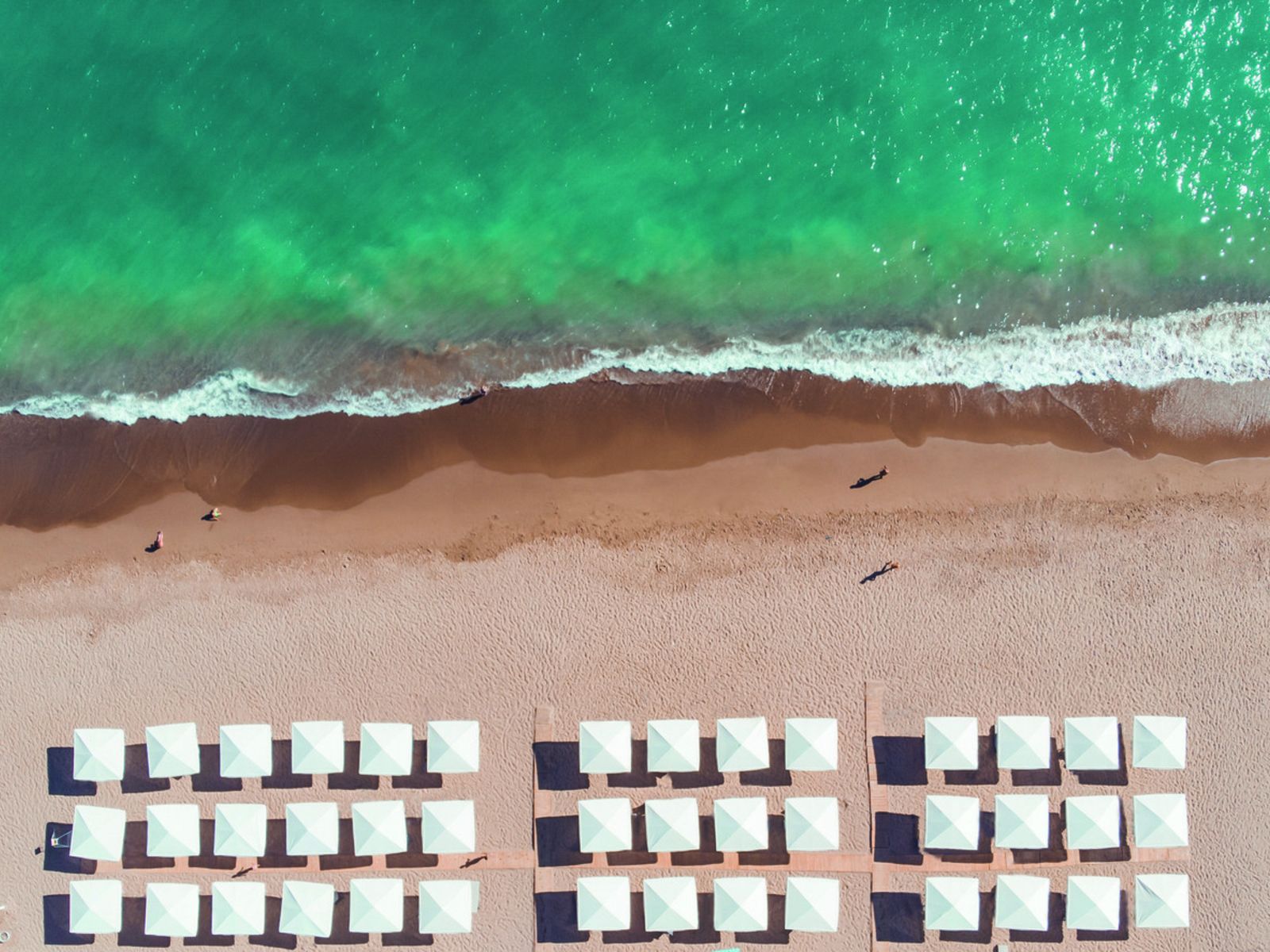 006 - PALOMA Finesse Side.jpg