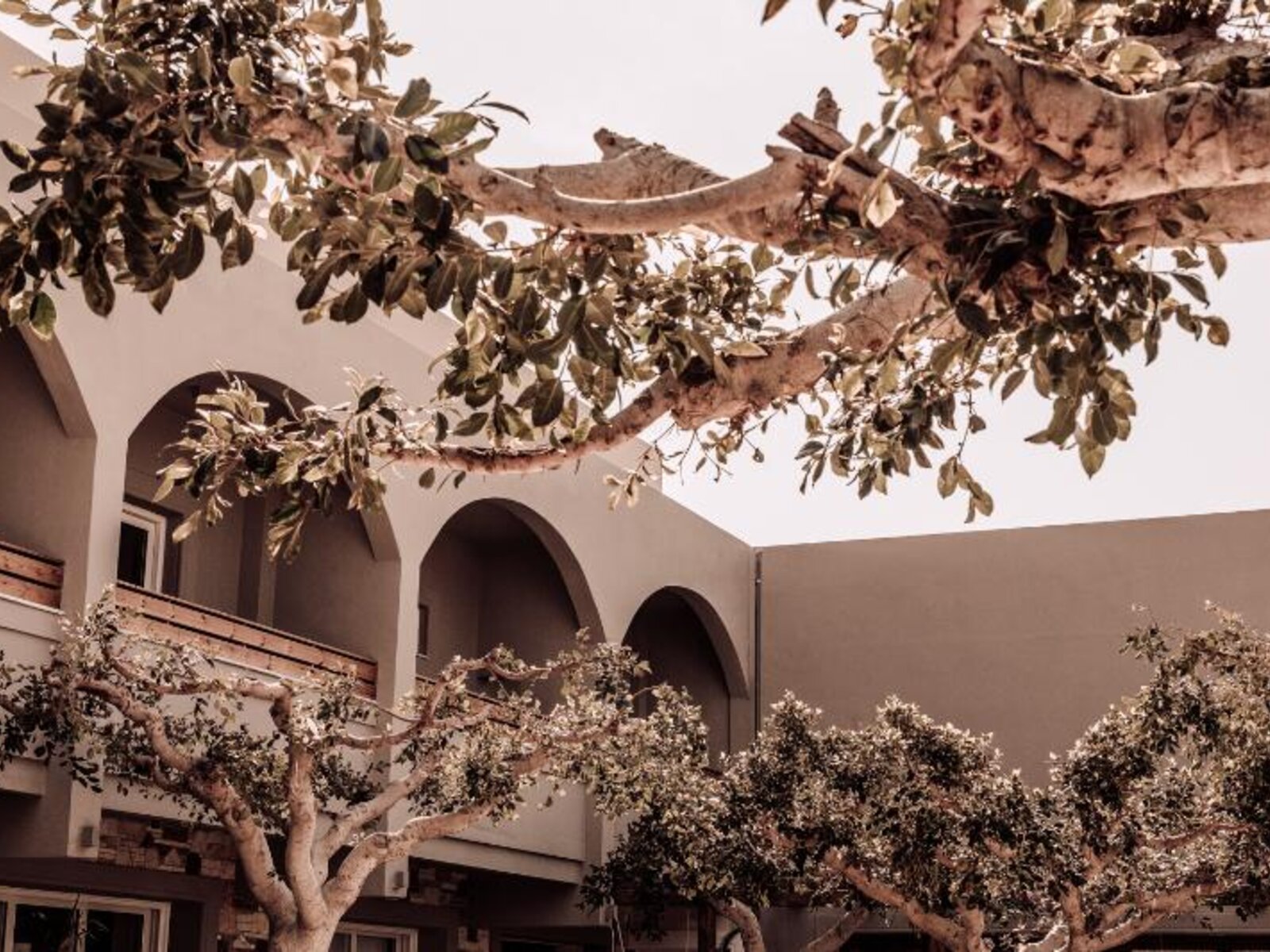 012 - Cooks Club Tigaki .jpg