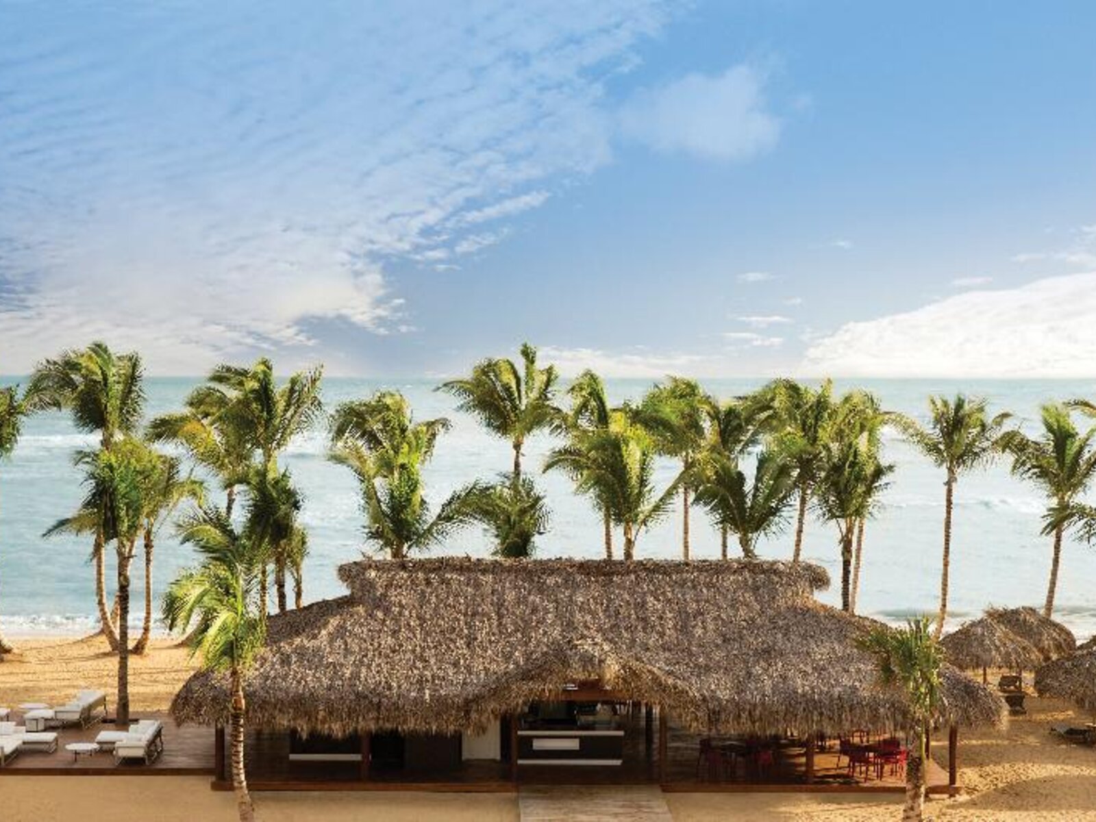 055 - Excellence El Carmen.jpg