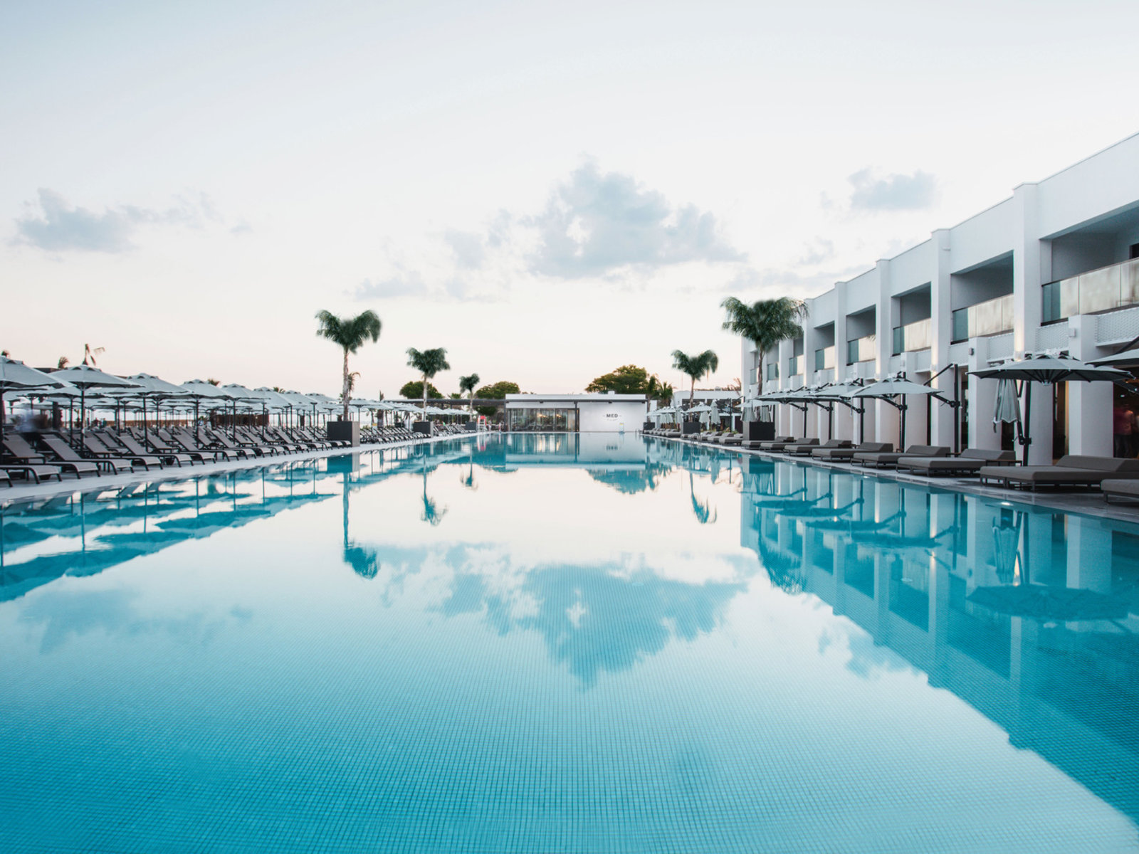 010 - PALOMA Finesse Side.jpg