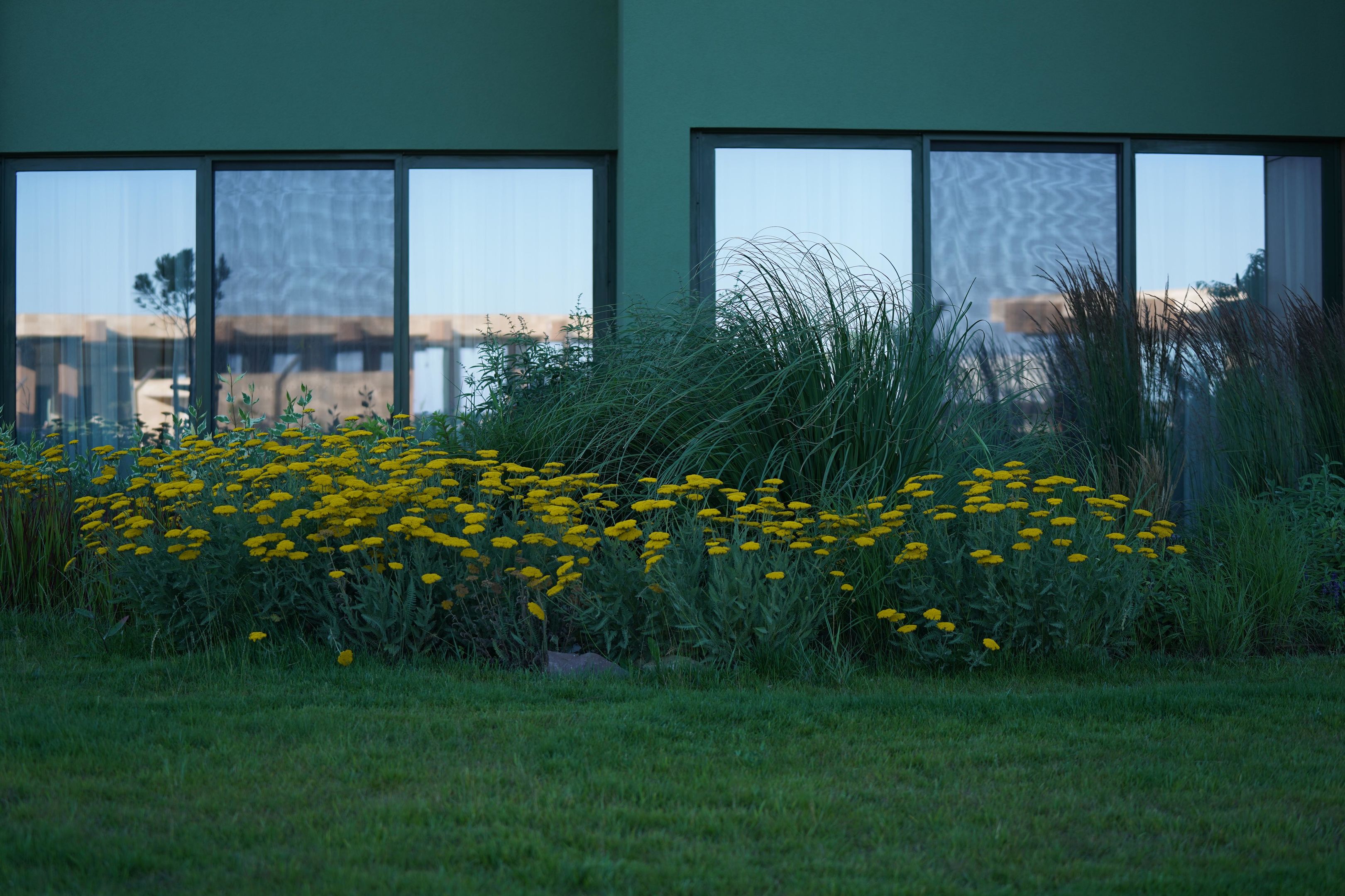 033 - HVD Reina del Mar.jpg