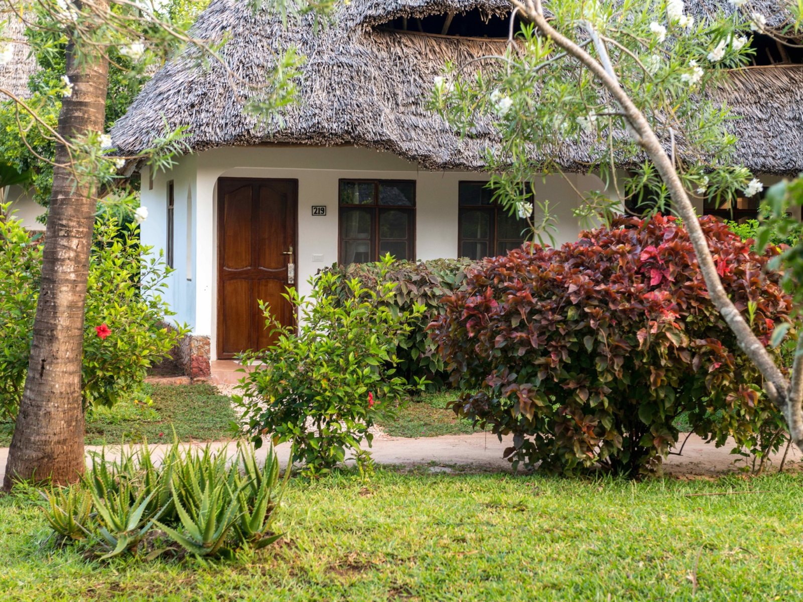 034 - Sandies Baobab Beach Zanzibar.jpg