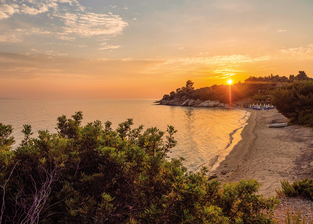 018 - Casa Bloo .jpg