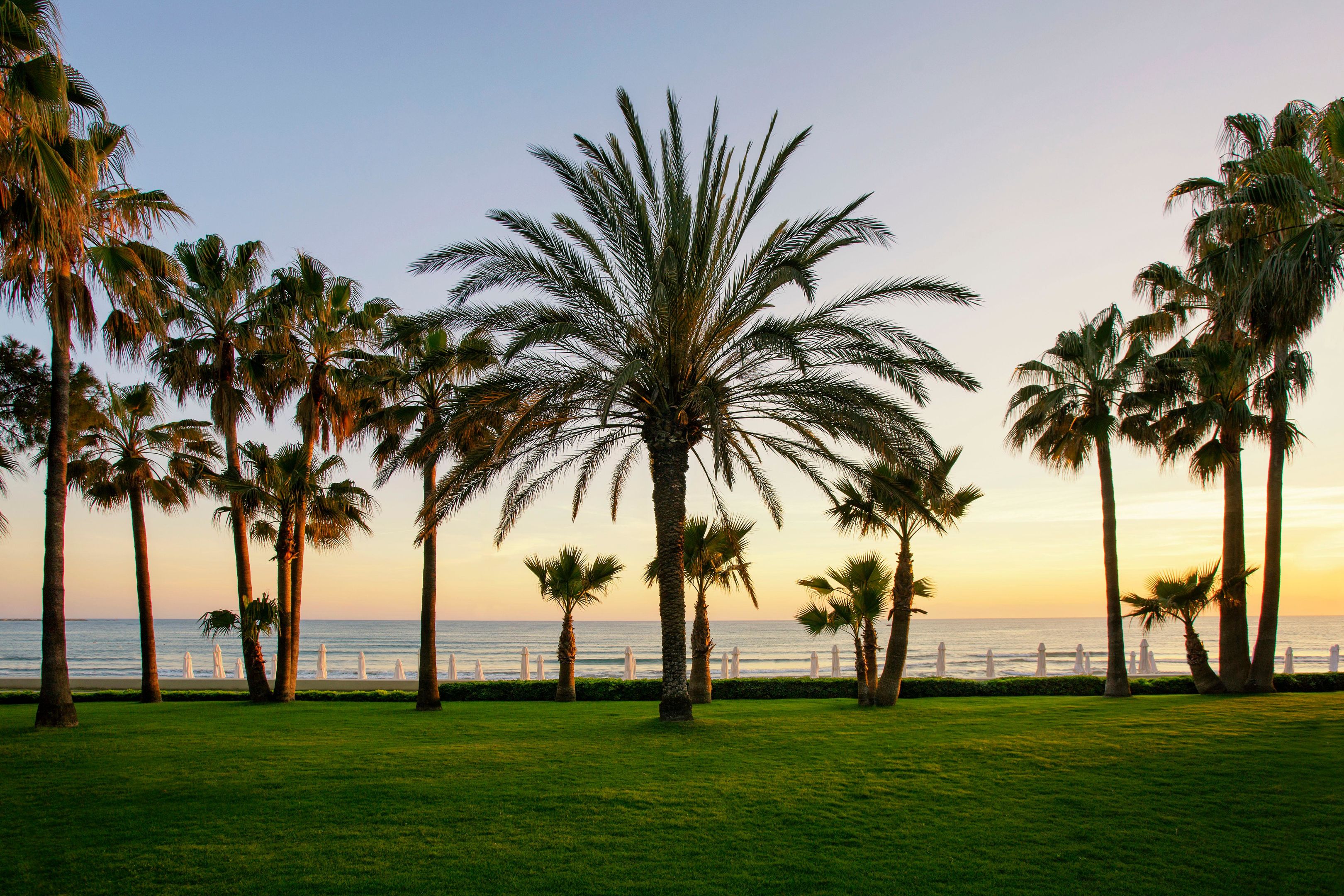 037 - Barut Acanthus & Cennet.jpg