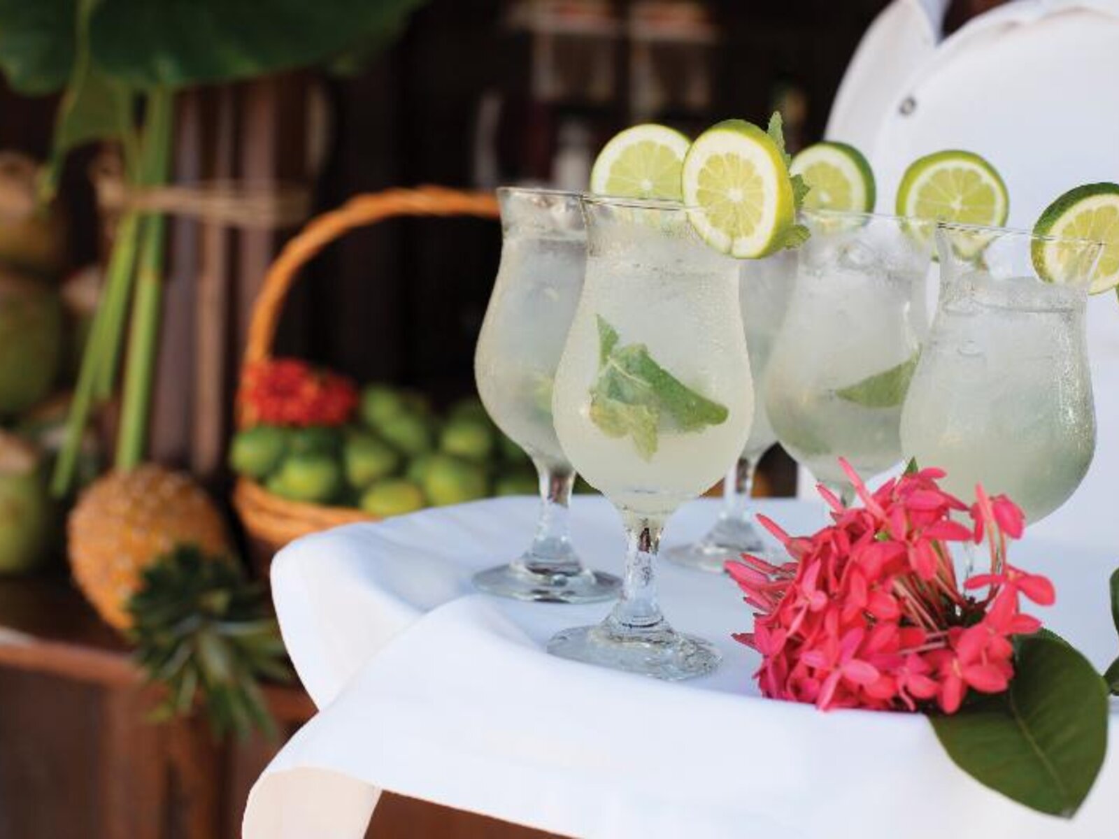 051 - Excellence El Carmen.jpg