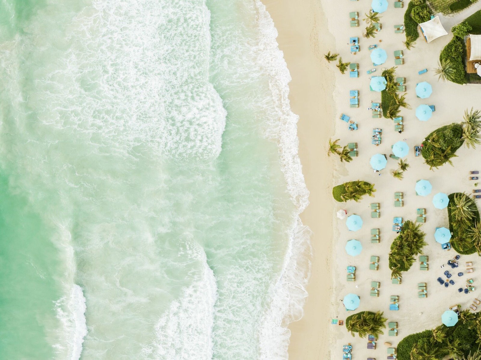 003 - Madinat Jumeirah Al Naseem.jpg