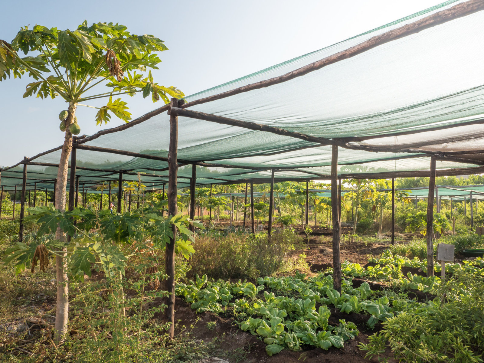 93724466 - Zanzibar White Sand Luxury Villas & Spa.jpg