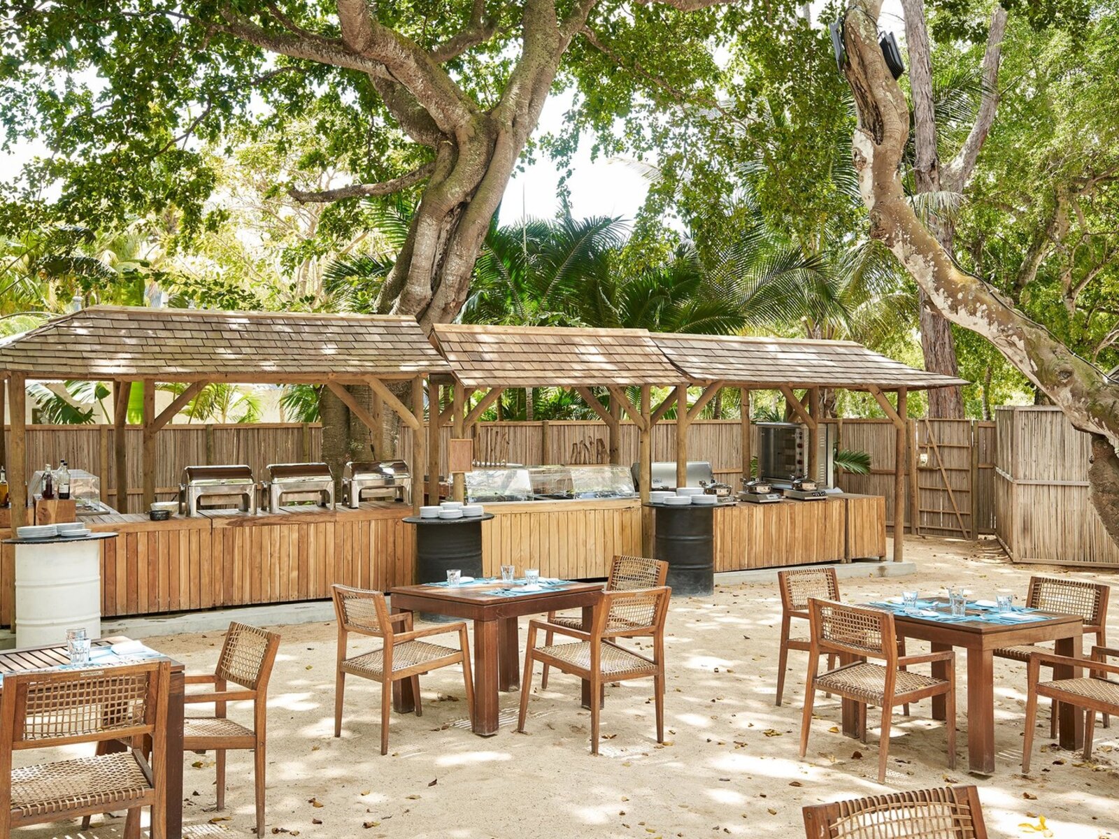 030 - The Ravenala Attitude.jpg