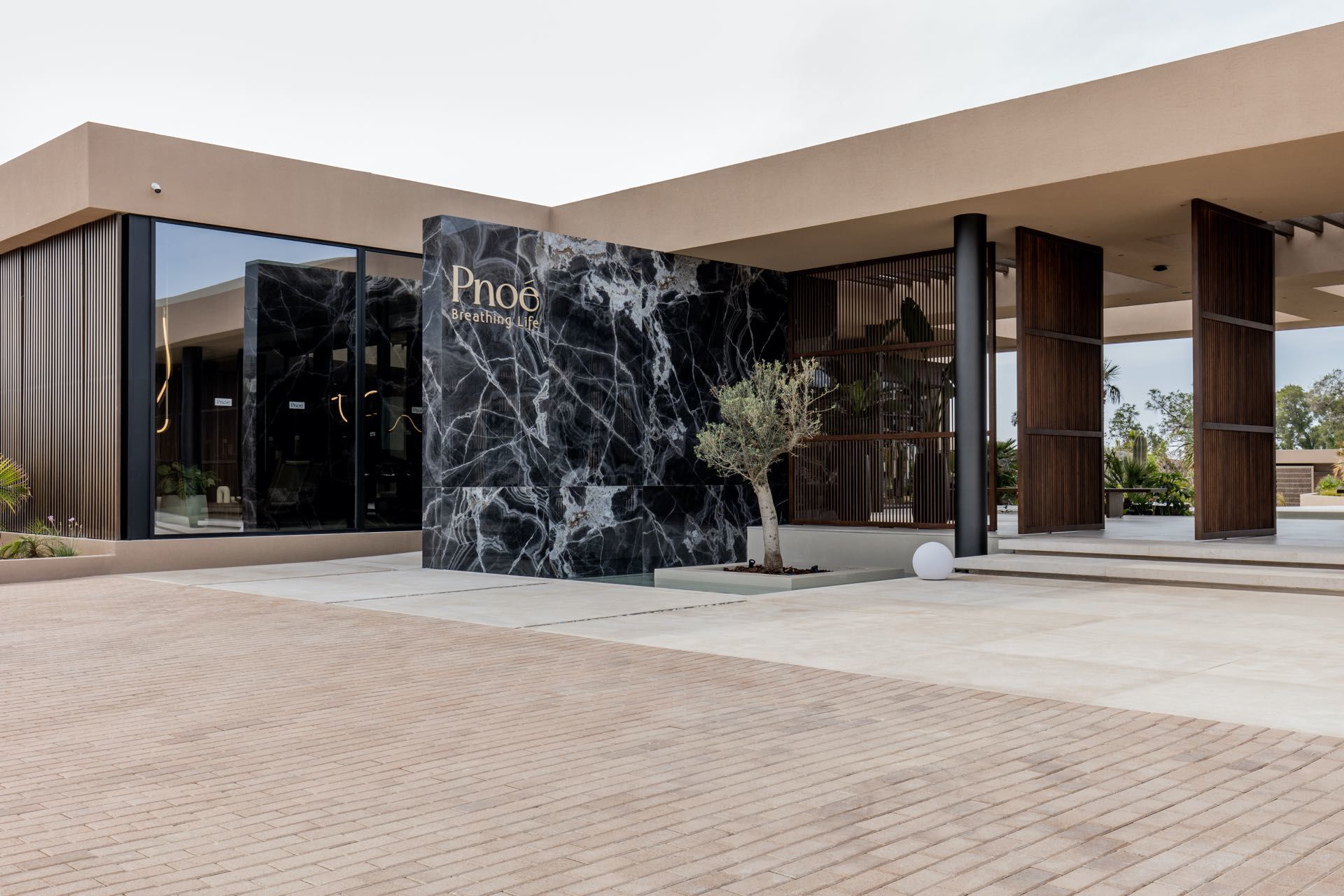 015 - Pnoe Breathing Life.jpg