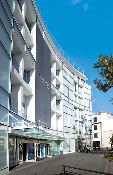 102819221 - The Vine.jpg