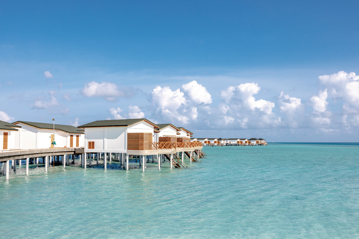 014 - Joy Island by Cocoon.jpg