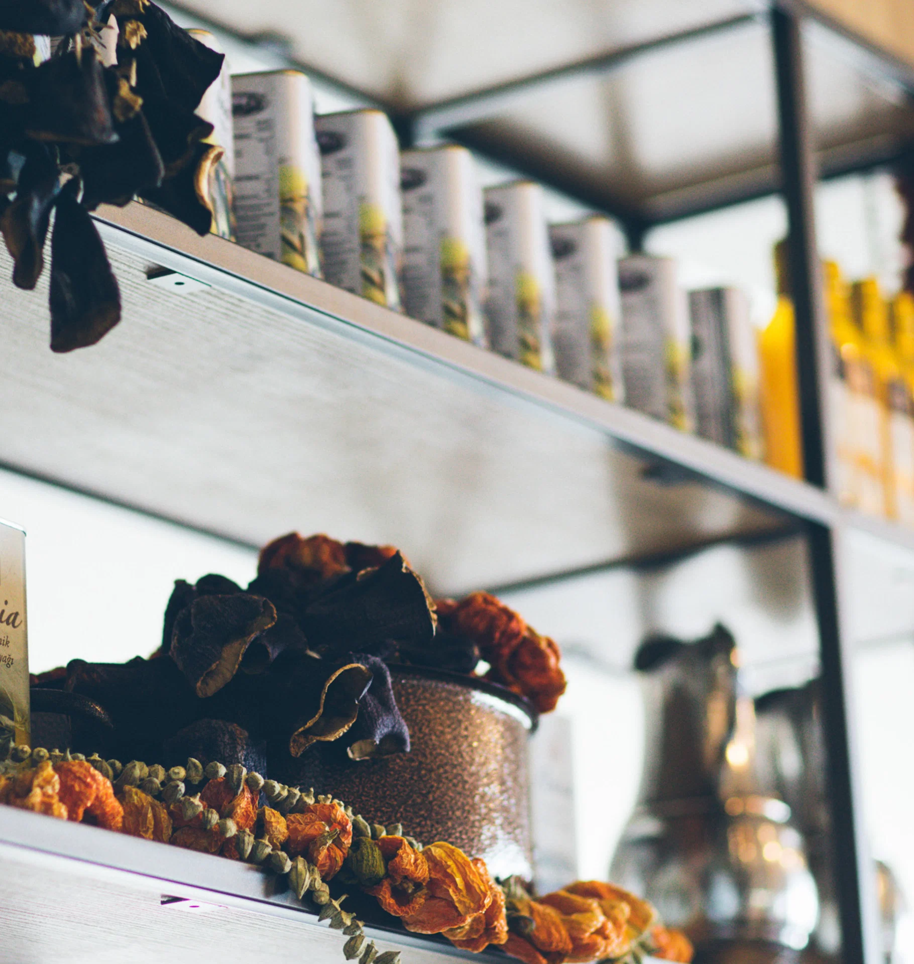Paloma Orenda · Paloma Restaurant
