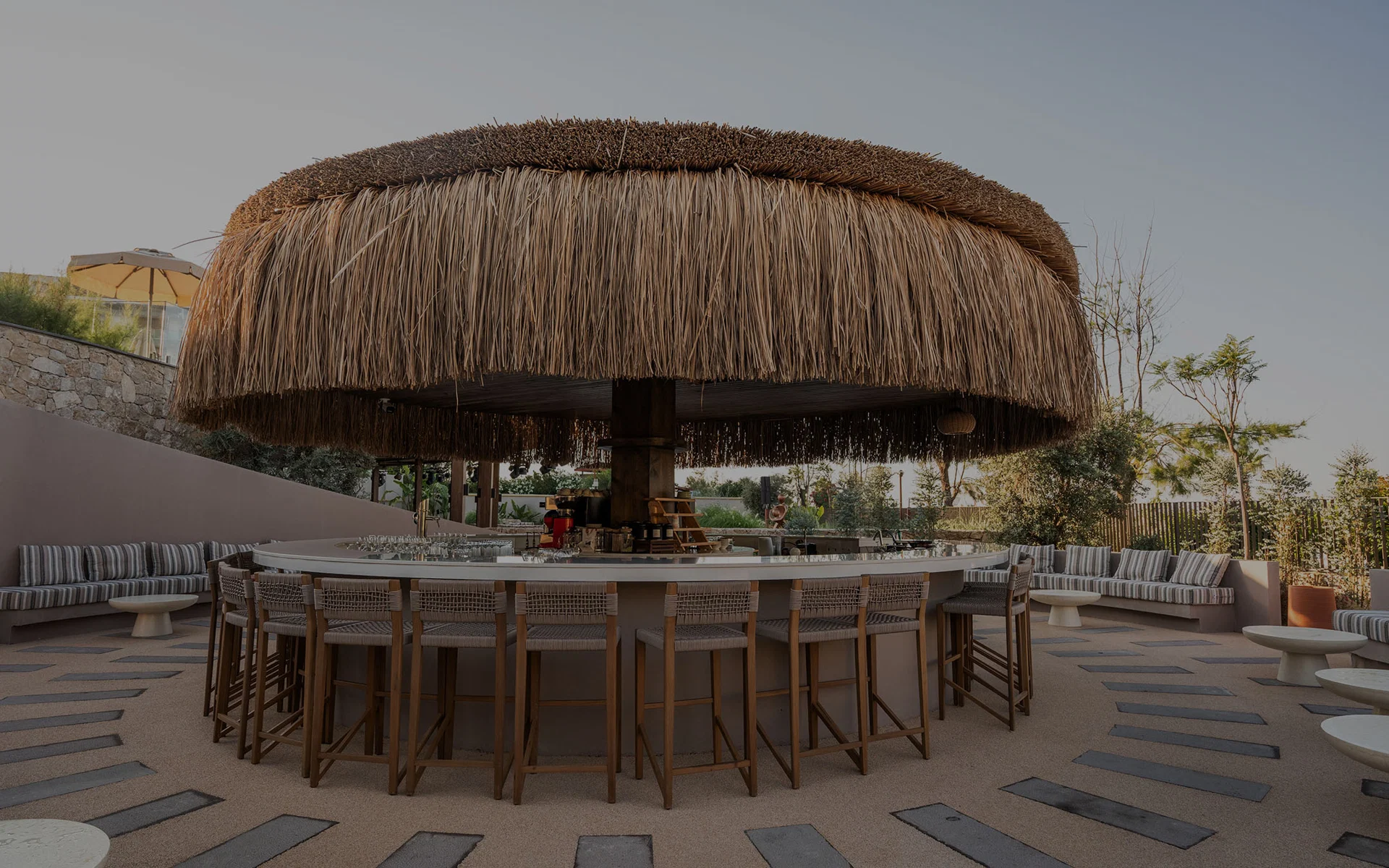 Adalya Bliss · Lithia Bar