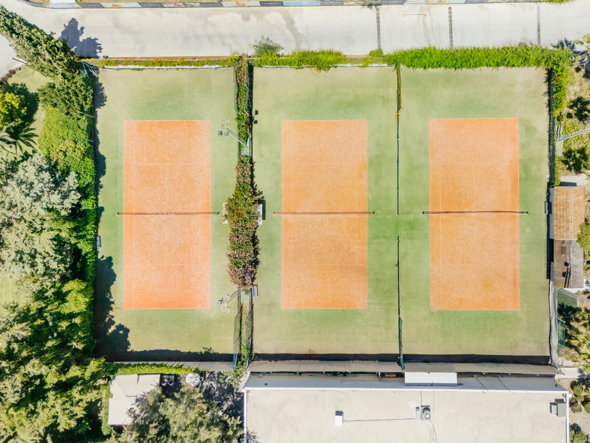 Paloma Finesse Side · Tennis