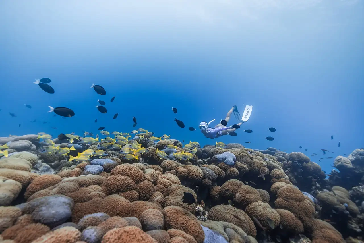 Meyyafushi Maldives · Water Activities