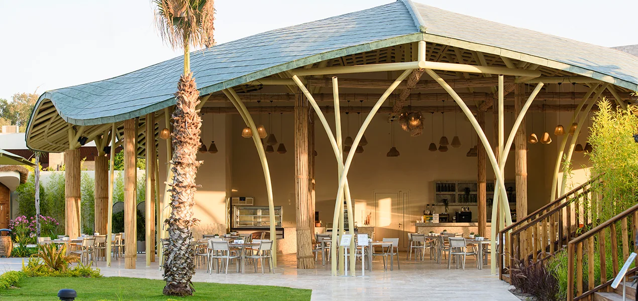 Caretta Bar