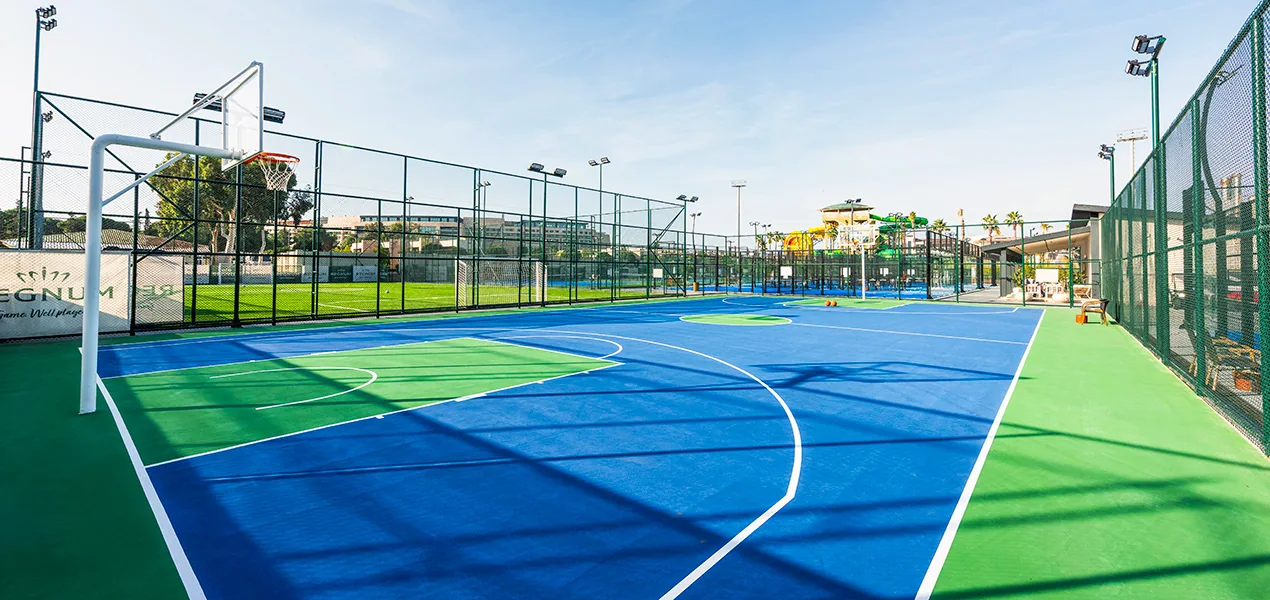 Basketball